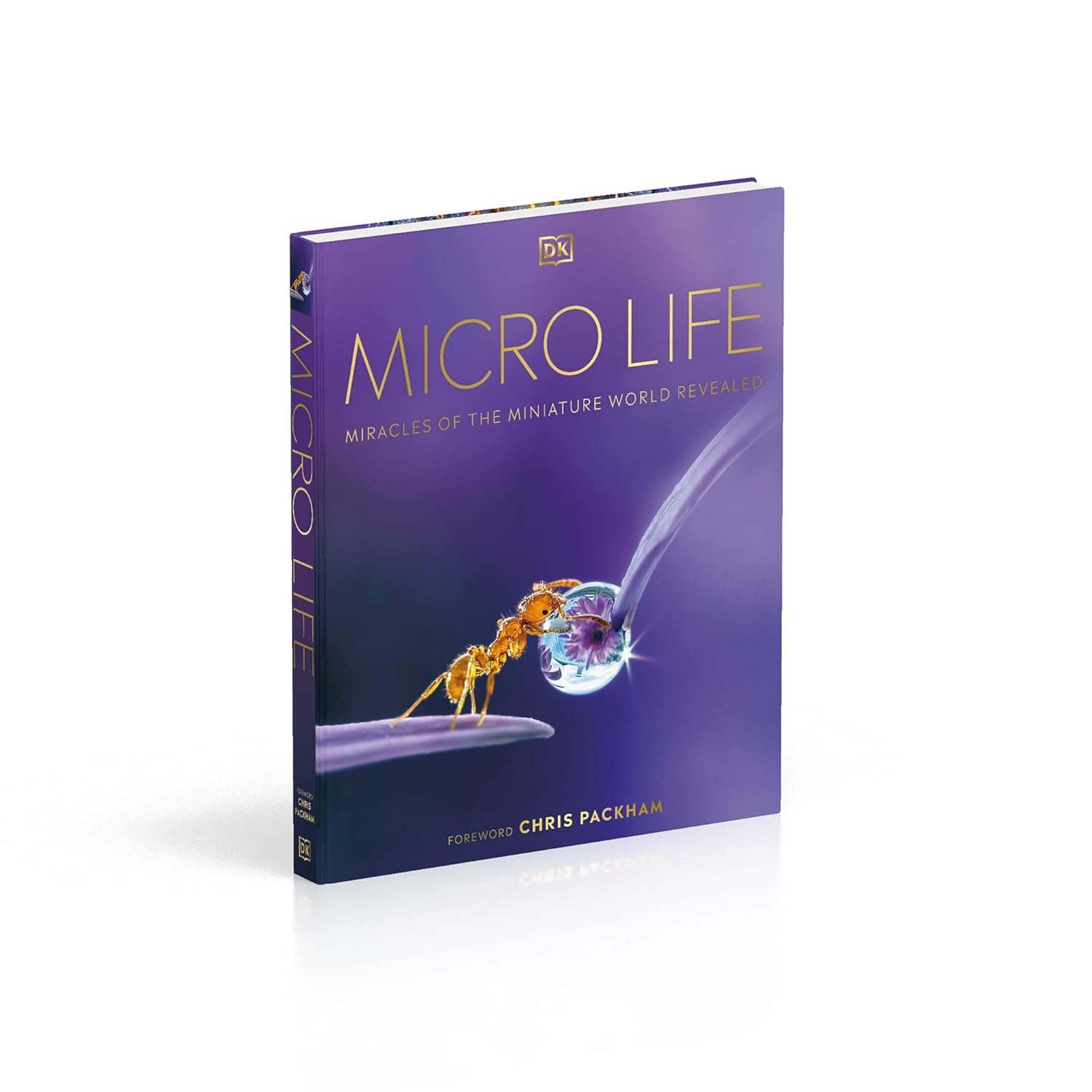 Micro Life: Miracles of the Miniature World Revealed image number 2