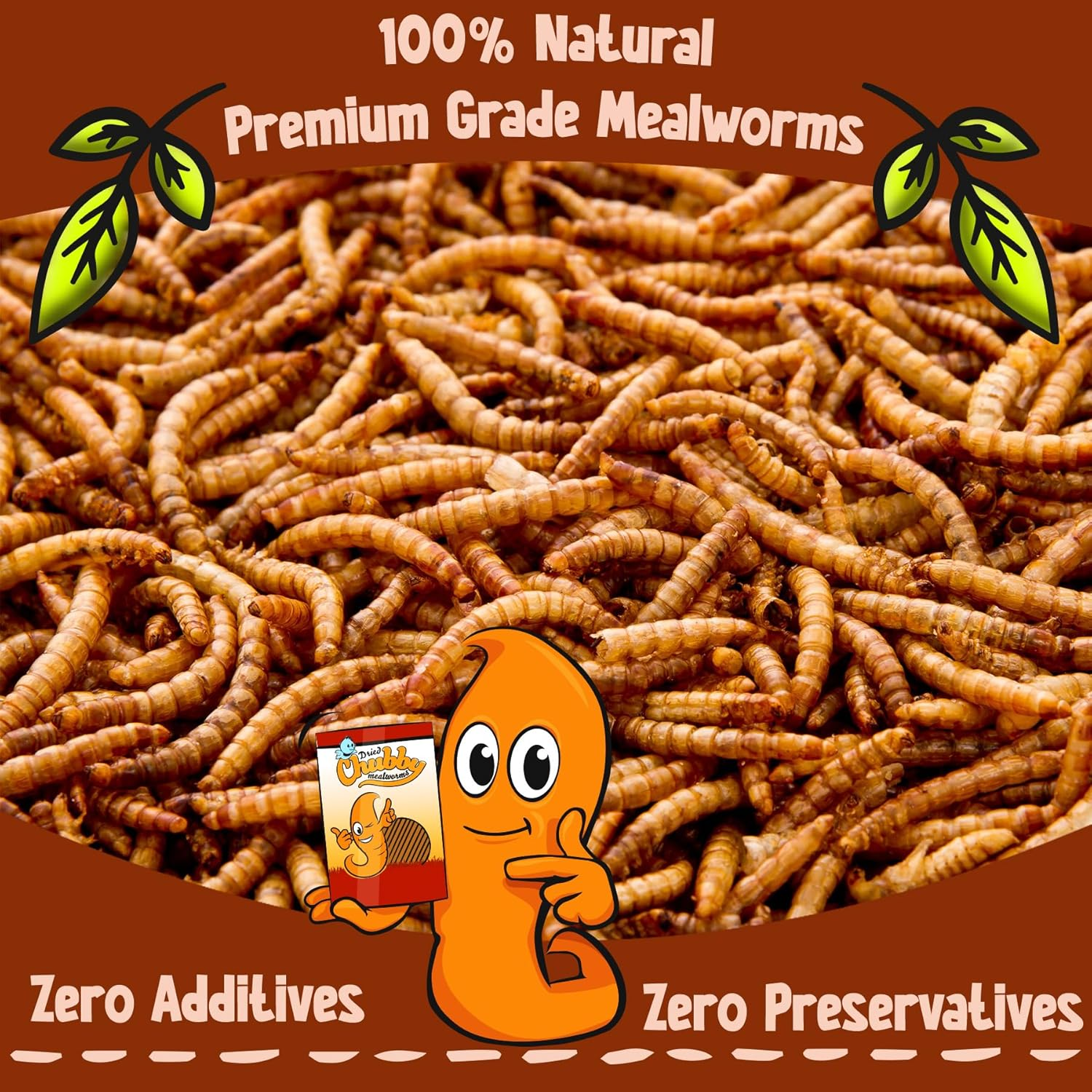 Chubby Mealworms (2 Kg), Dried Mealworms for Wild Birds, Protein Rich Dried Meal Worms High Energy Dried Mealworms for Birds, Reptiles, Gecko image number 4