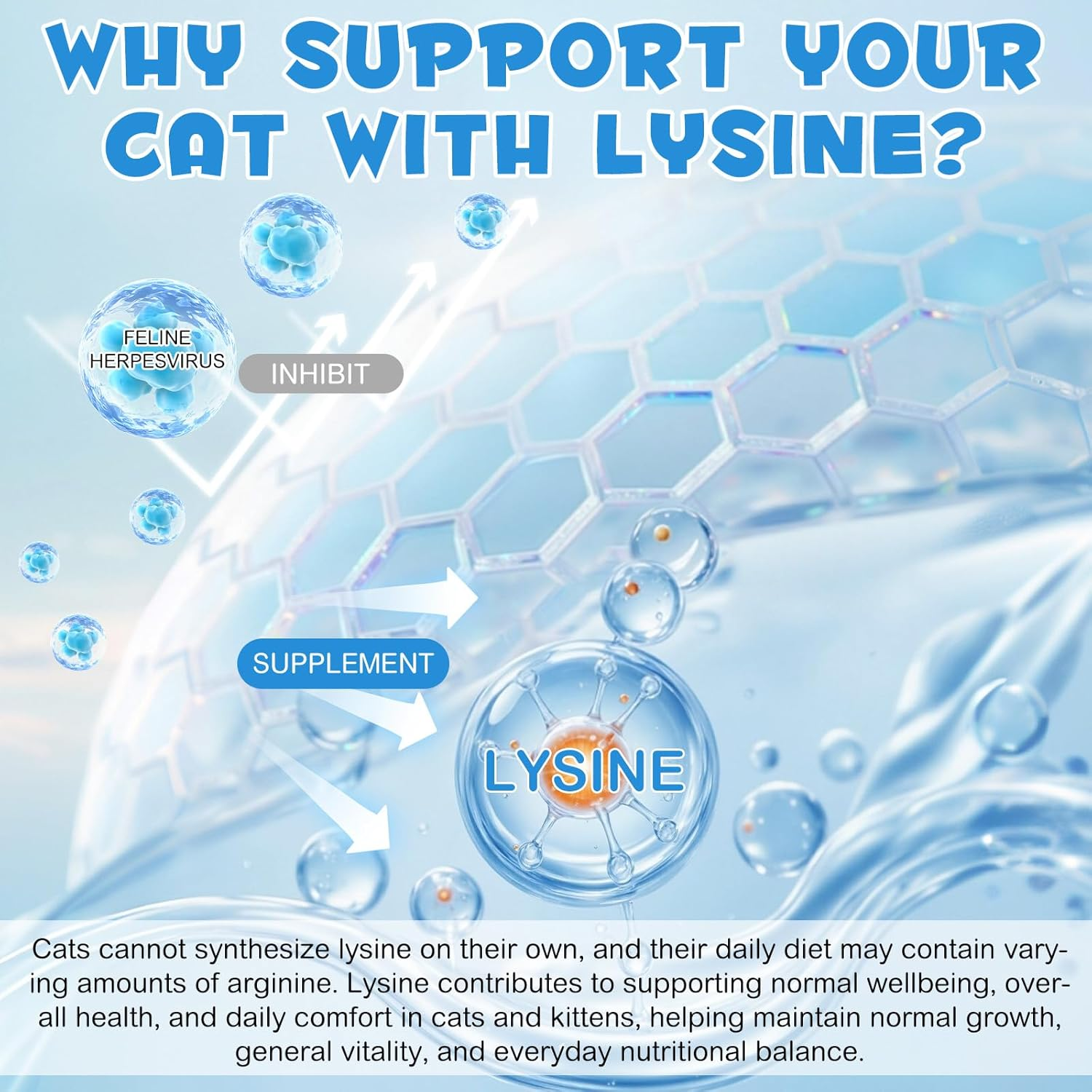 L-Lysine Supplement for Cats 60Ml | Daily Feline Wellbeing Support | Helps Maintain Normal Eye Moisture, Respiratory Comfort & Immune Health | Easy-To-Give Liquid Formula | Roast Chicken Flavour