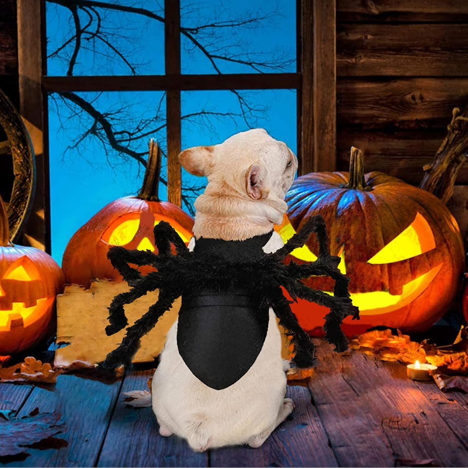 Halloween Spider Costume, Pet Decorations, Decor Party Supply, Cosplay Costumes with Adjustable Velcro, Cosplay Costumes for Small-Medium Dogs & Cat, Puppy Dress up Accessories Black