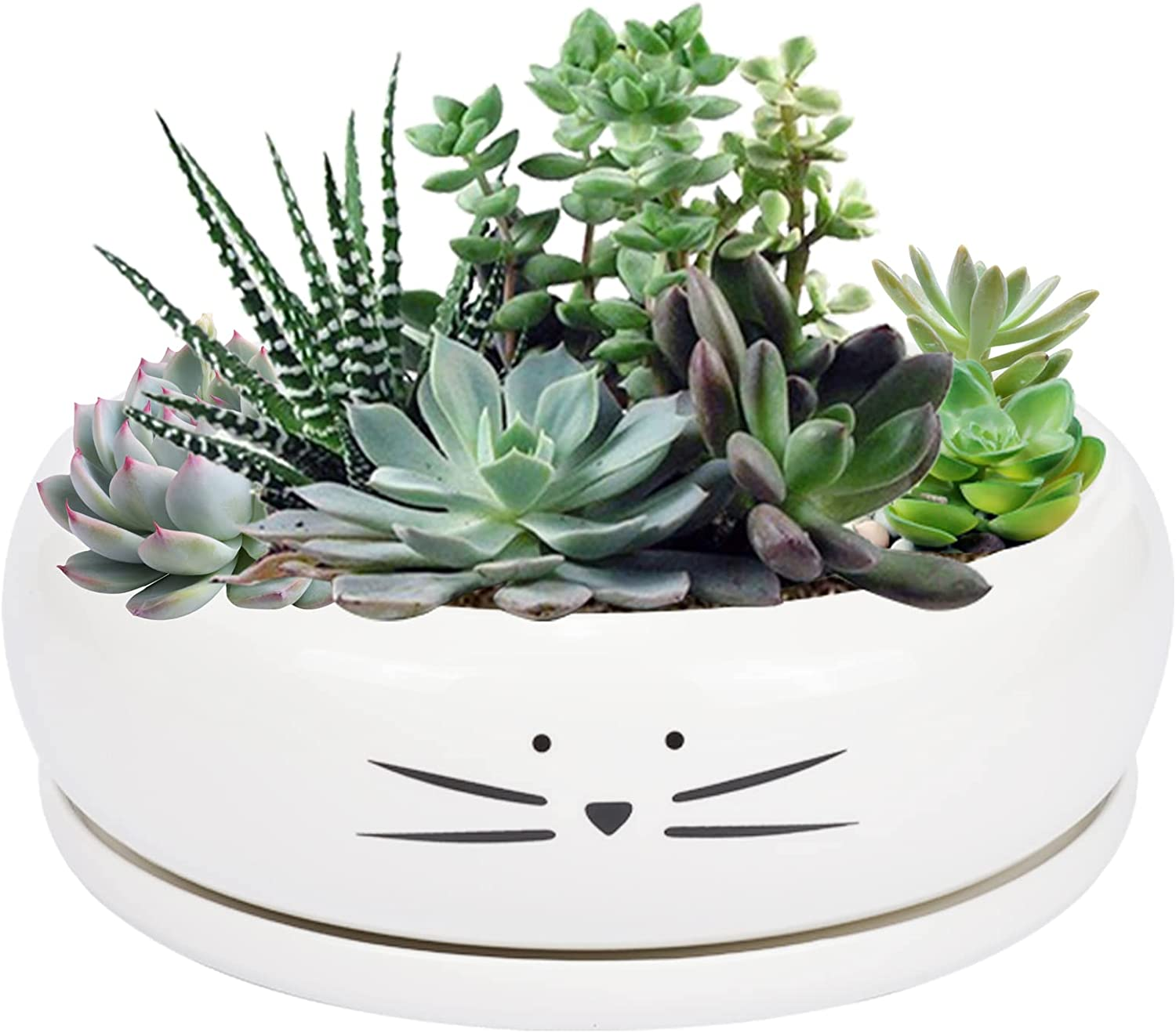 Koolkatkoo 8 Inch Large Cute Cat Ceramic Succulent Planter Pots with Removable Saucer Unique Porcelain Cactus Planters Decorative Flower Pot for Cat Lovers White
