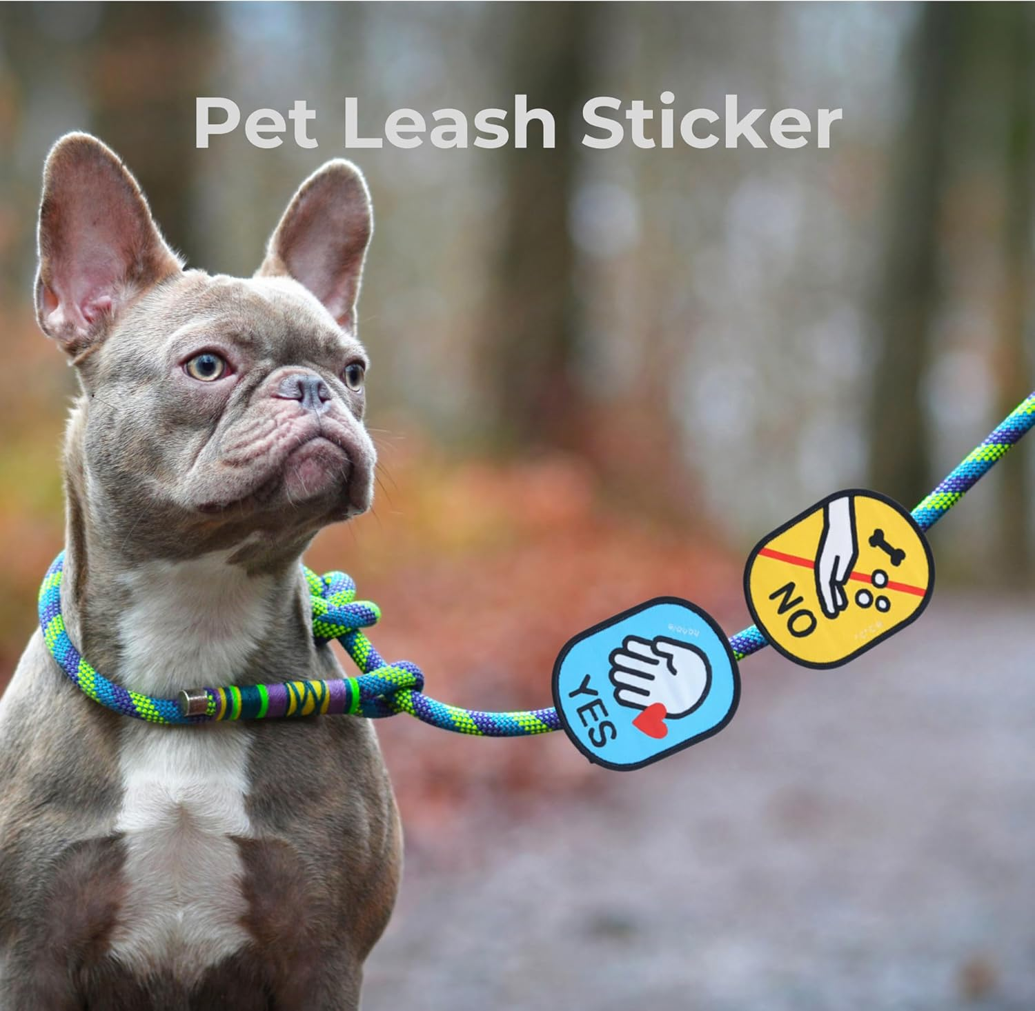 Social Badge for Dog Leash, Dog Funny ID Tags Patch Outdoors, Velcro Fastening, No Touch Yes Touch No Feeding No Photo of the Label and Sticker for Petsus (No Touch+Danger) image number 3