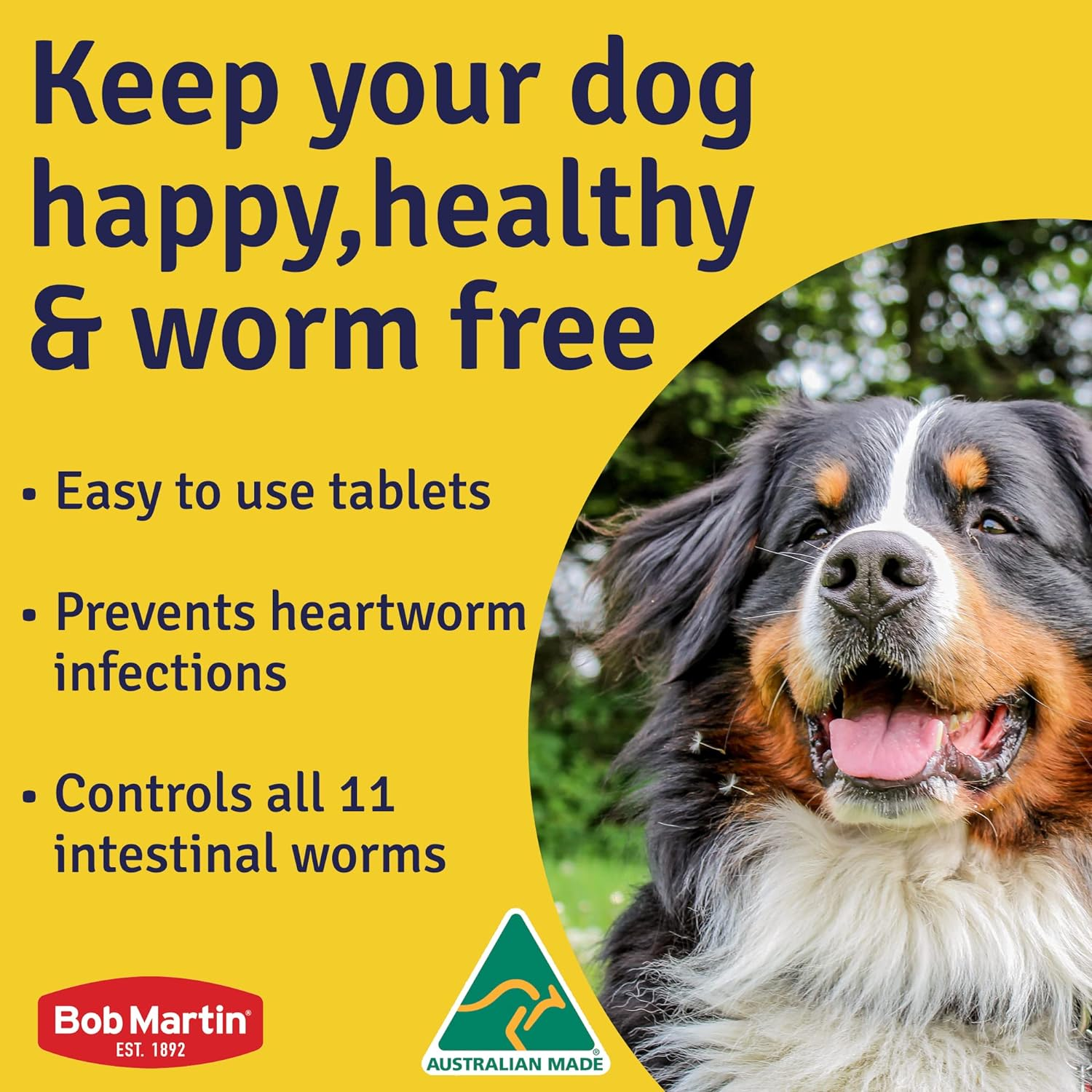Bob Martin Worming Tablets for Dogs - Worming Treatment for Medium & Large Dogs. Kills 5 Most Common Worms in 1 Dose. 4 Chewable Liver Flavored Tablets 40G image number 4