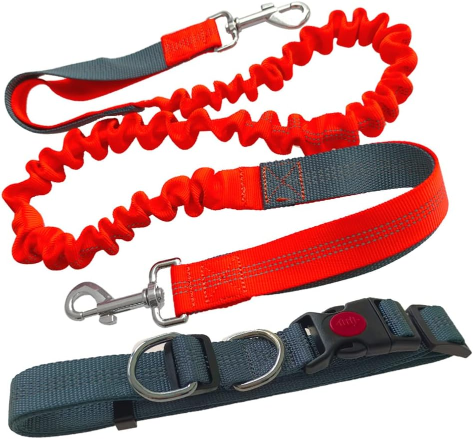 Aiqeer Orange Hands Free Dog Leash, Adjustable Waist Belt and Retractable Bungee Leash, Jogging Dog Leash with Reflective Stitching (Grey Handle) image number 1