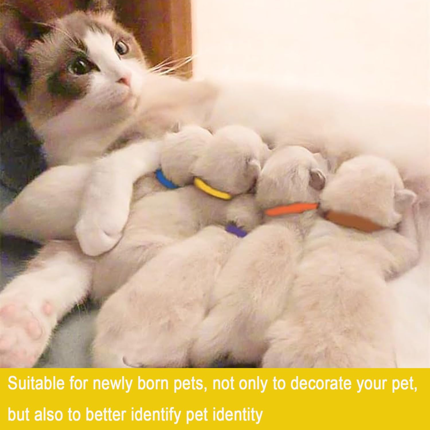 Lxcshljx 32Pcs Puppy Id Collars, Adjustable Soft Whelping Collars, 16 Colors Newborn Kitten Collars, Puppy Identification Collars Bands, Pet Pup Collars, Puppy Litter Collars for Small Dog Cats Rabbit image number 1