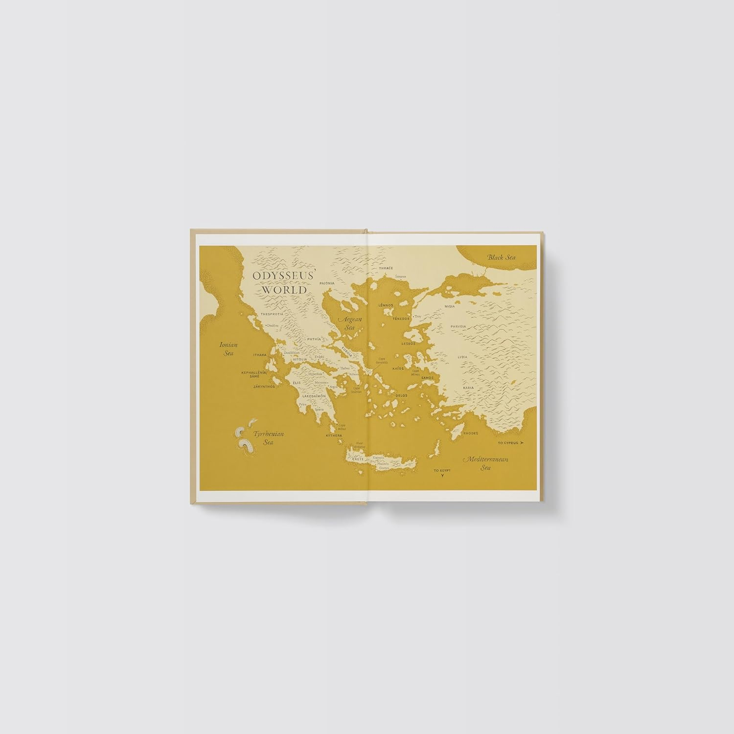 The Odyssey: a New Translation by Daniel Mendelsohn