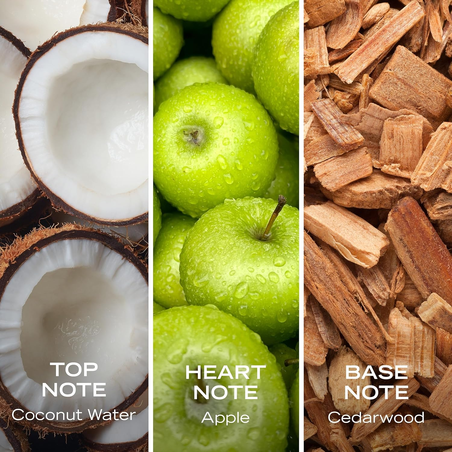 Nautica Coastal Crush Coconut Crave Body Mist, 236Ml image number 6