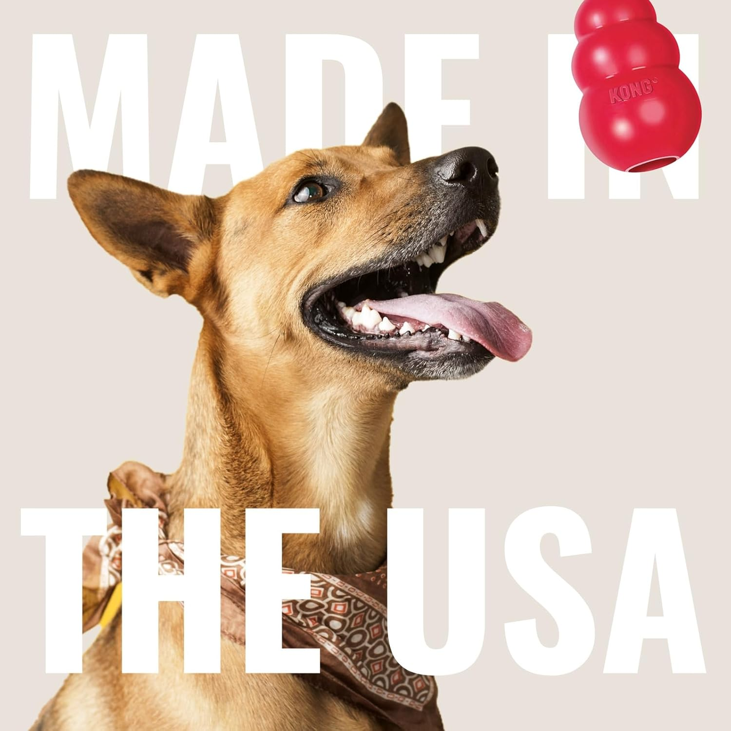 KONG - Goodie Bone - Durable Rubber, Teeth and Gum Cleaning Dog Toy - for Large Dogs image number 4