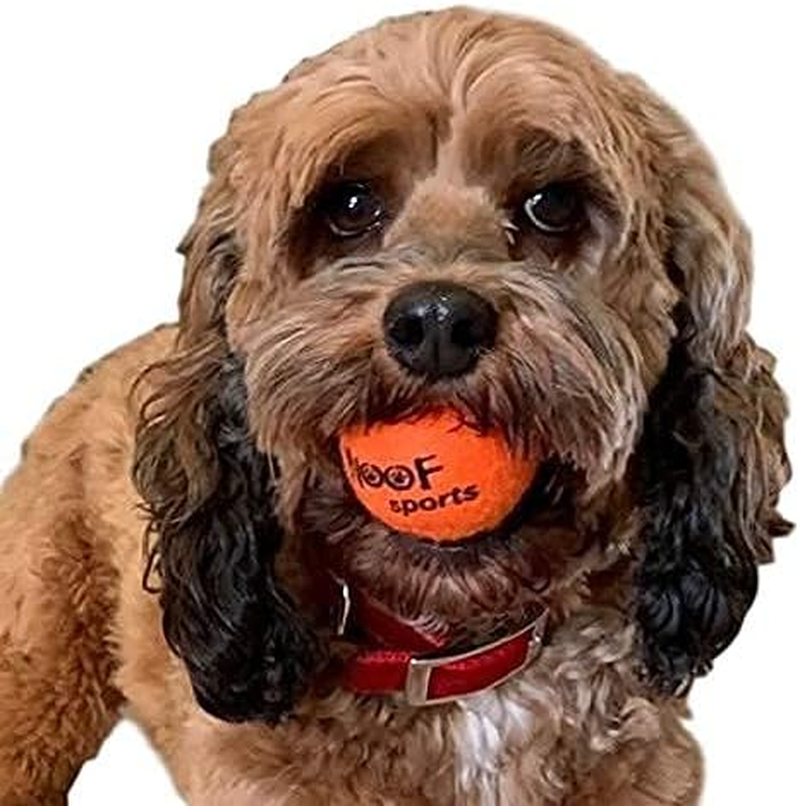 Woof Sports Small/Mini 1.9" Durable Dog Tennis Balls - 25% Thicker than Regular Tennis Balls. 12 Orange Ecofriendly Balls & Mesh Carrying Bag. Perfect for Smaller Dogs image number 1
