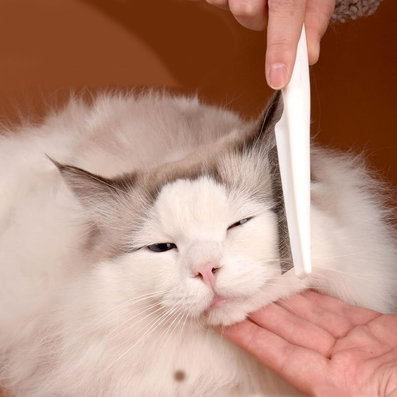 Alriedy Set of 4 Self-Cleaning Flea Combs - Premium Cat Comb & Dog Comb | Double Sided Fur Flash Brush with Stainless Steel Tines | for Long/Short Hair, Fleas, Ticks & Hair Removal image number 1