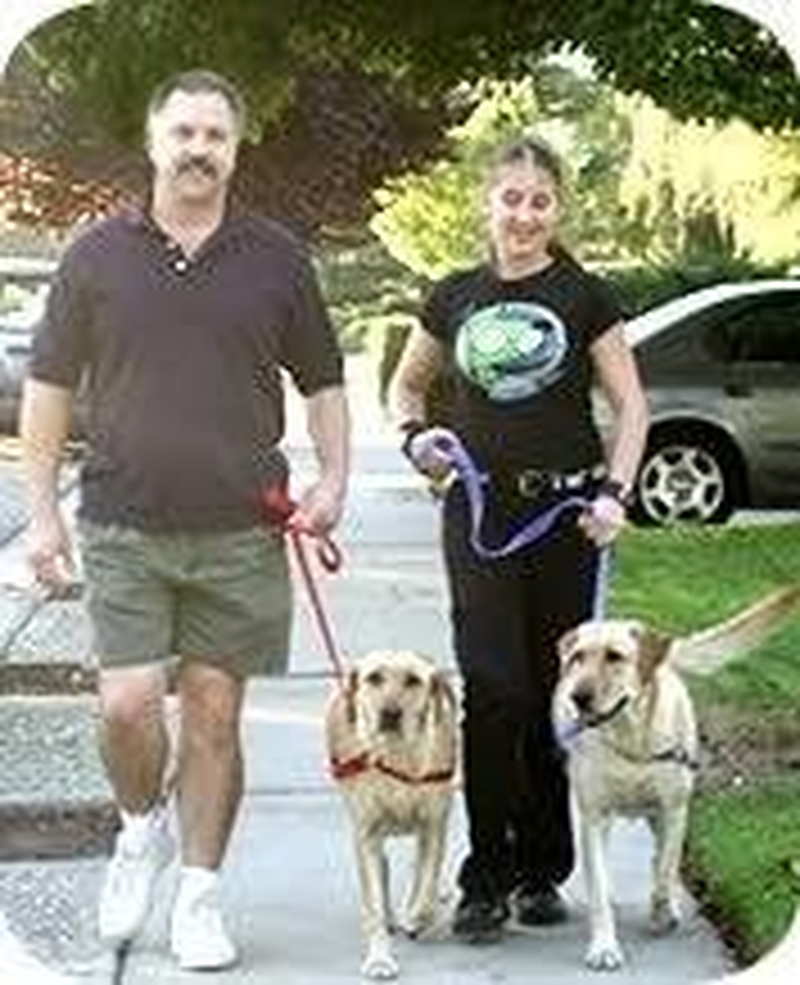 Sense-Ation No-Pull Dog Harness - Red, Large (Wide) image number 1