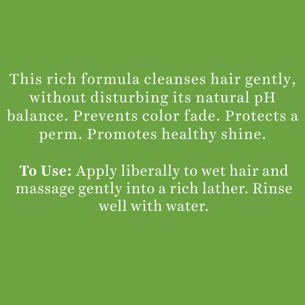 Biotique Bio Soya Protein Fresh Nourishing Shampoo, 180 Ml image number 2