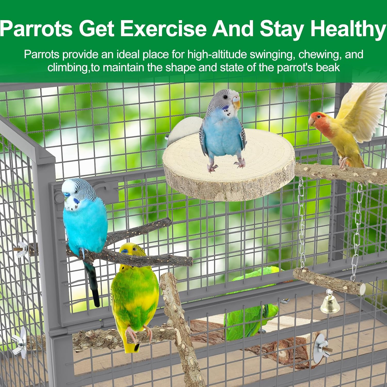 6 Pcs Natural Wood Bird Perch, Enduring Parrot Perch, Environment Friendly Bird Perch, Stand Safe Reliable Bird Perch, Non Toxic Parrot Perch Easy to Install Bird Perch Stand for Parakeet Cockatiels image number 3