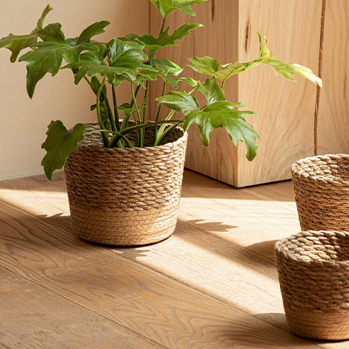 AIMALL 3Pcs Natural Seagrass Woven Planter Basket Set &ndash; Handmade Rattan Plant Pots for Indoor Greenery and Home D&eacute;cor image number 4