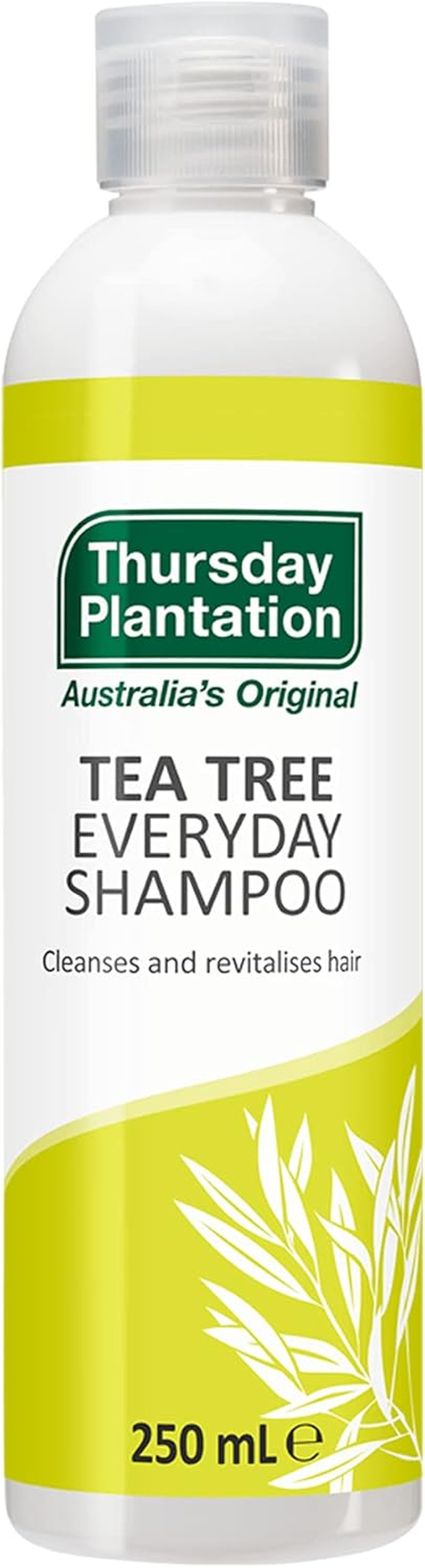 Thursday Plantation 3 Pack of Tea Tree Everyday Shampoo 250Ml image number 4
