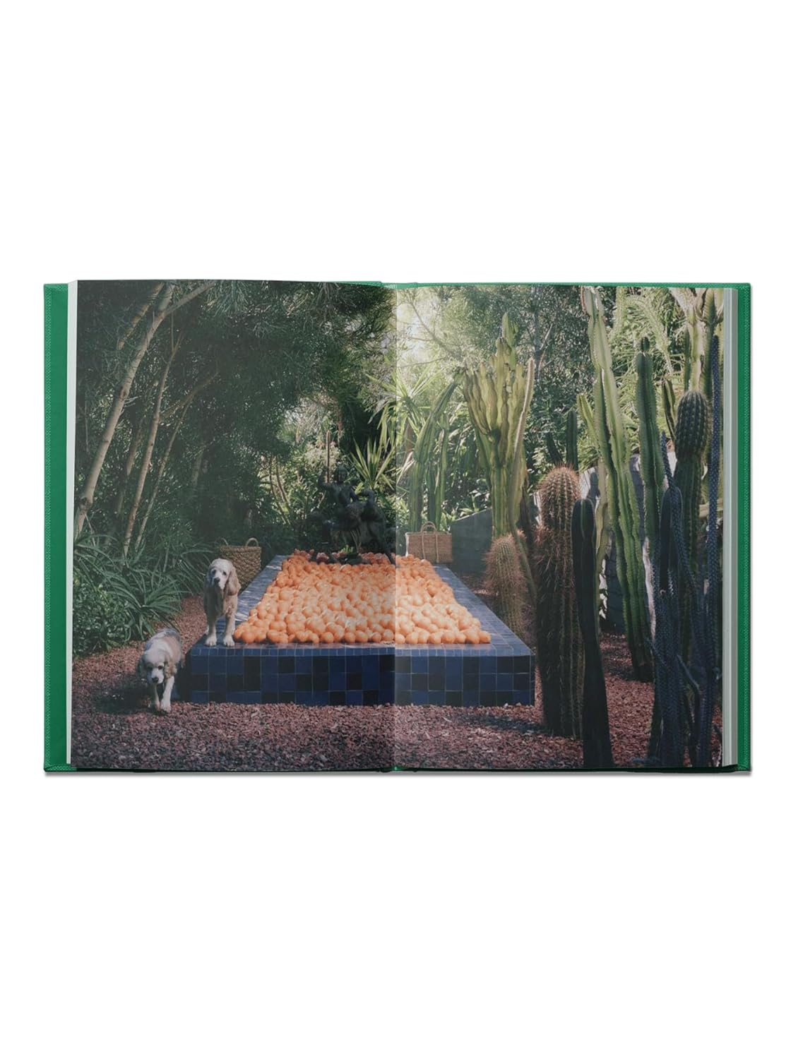 Flamingo Estate: the Guide to Becoming Alive: Luxurious Rituals to Ignite Your Senses and Rejuvenate Your Soul image number 2