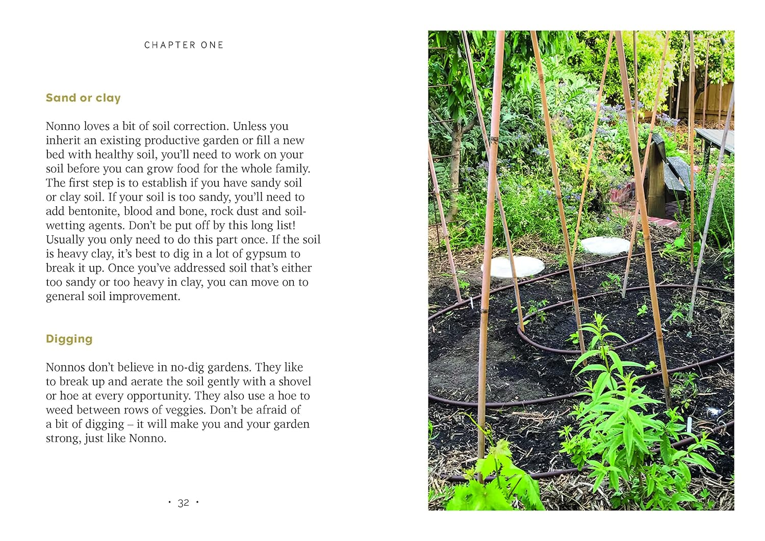 Garden like a Nonno: the Italian Art of Growing Your Own Food