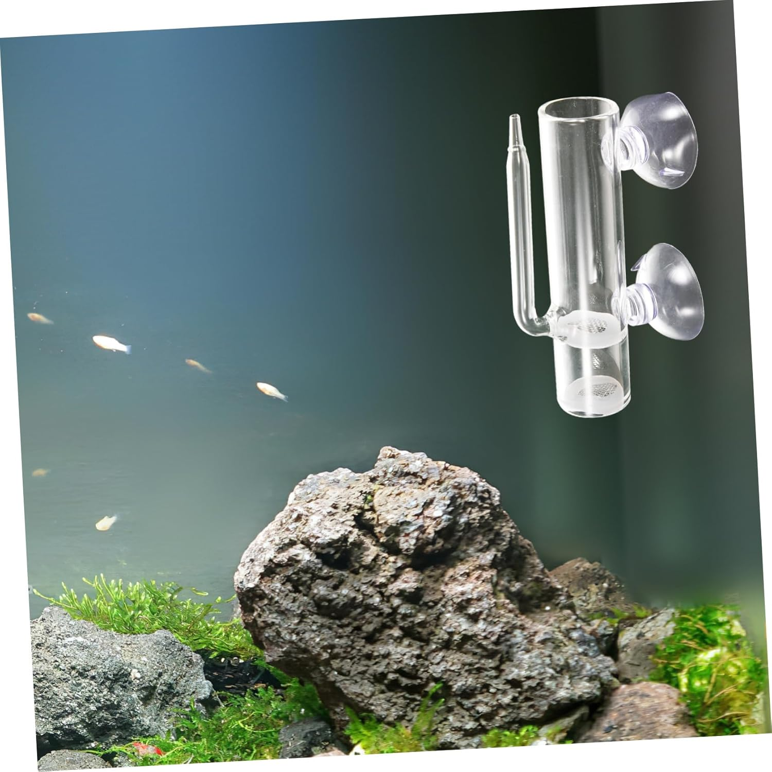 HANABASS Shrimp Egg Hatchery Glass Incubator Fish Breeding Holder Aquarium Breeding Tank Brine Shrimp Hatchery Device for Aquatic Pets image number 5