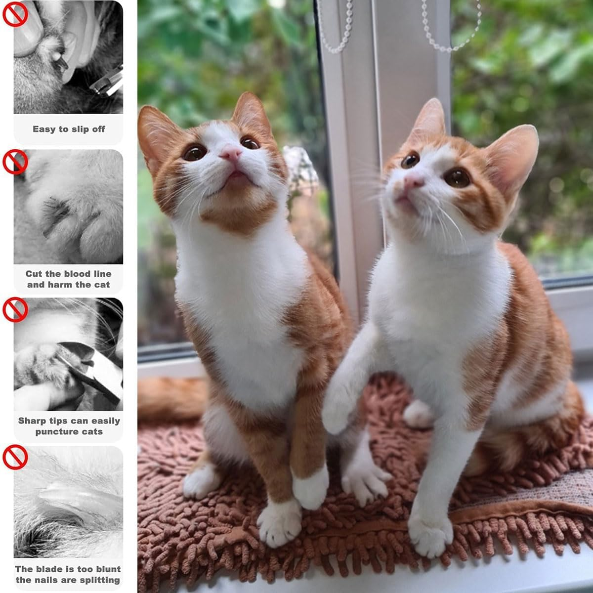 Toulifly Cat Claw Scissors, Stainless Steel Cat Nail Clippers, Nail Scissors for Kittens, Safety Double Circular Hole Pets Cat Nail Scissors, for Beginners, Blue, 2 Pieces