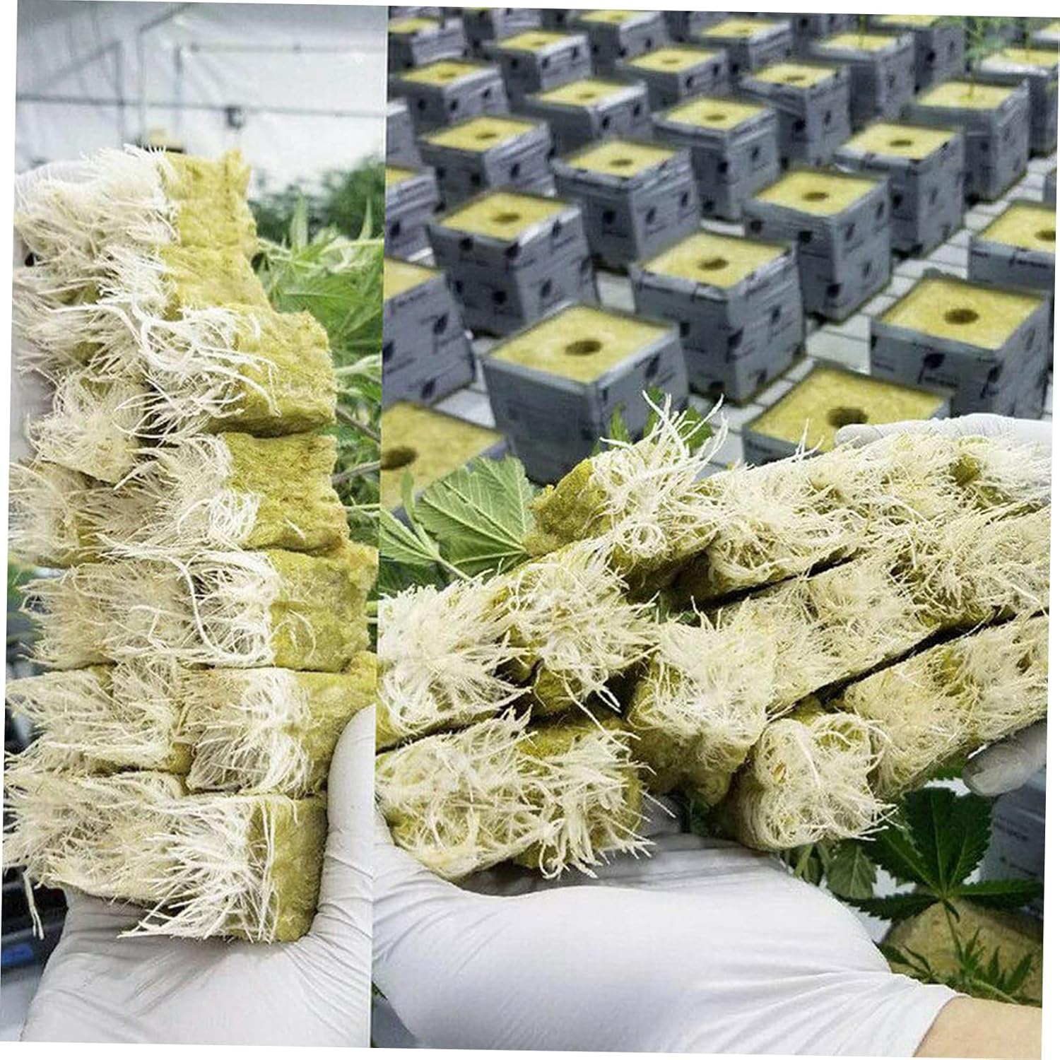 Soilless Cultivation Mineral Wool Starter Plugs Hydroponic Plant Nursery Blocks 36X36X40Mm 28Pcs for Vegetable Propagation and Hydroponics Gardening Accessories image number 2