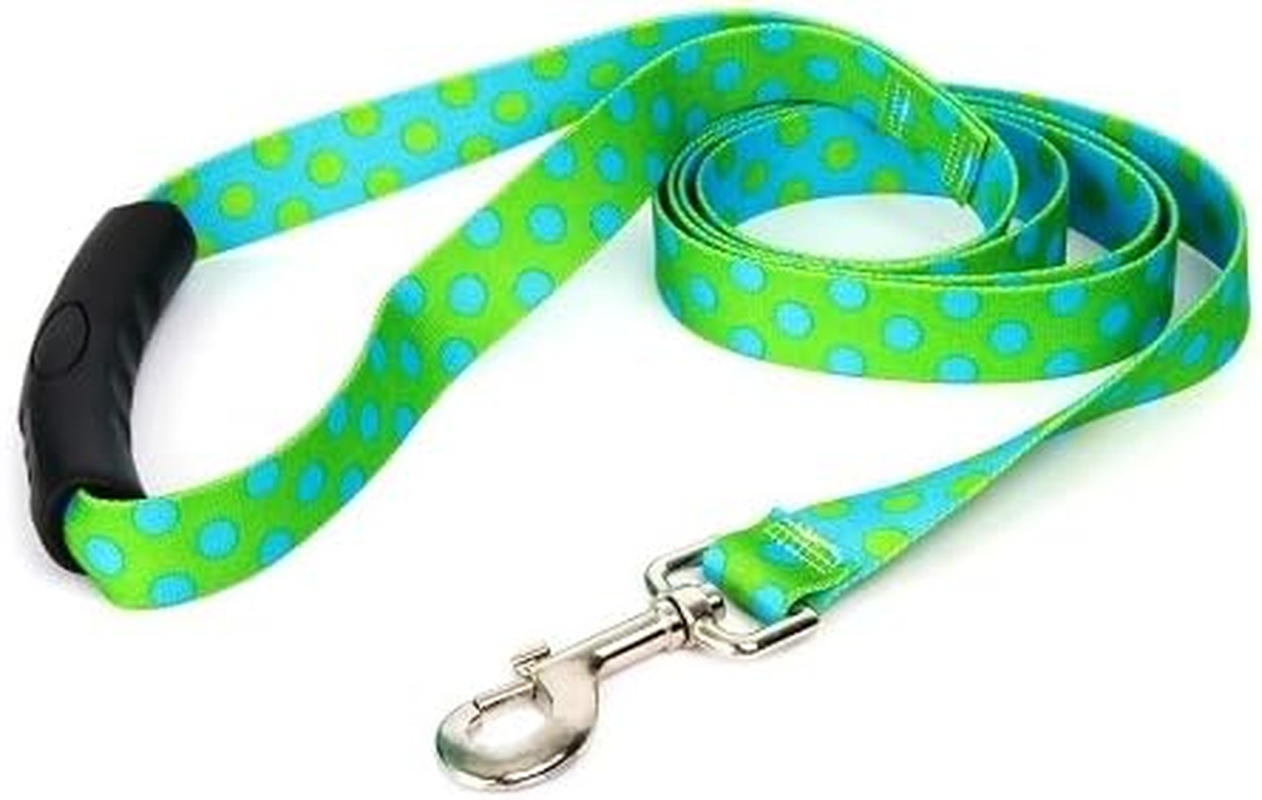 Yellow Dog Design Green and Blue Polka Dot Ez-Grip Dog Leash with Comfort Handle, Small/Medium