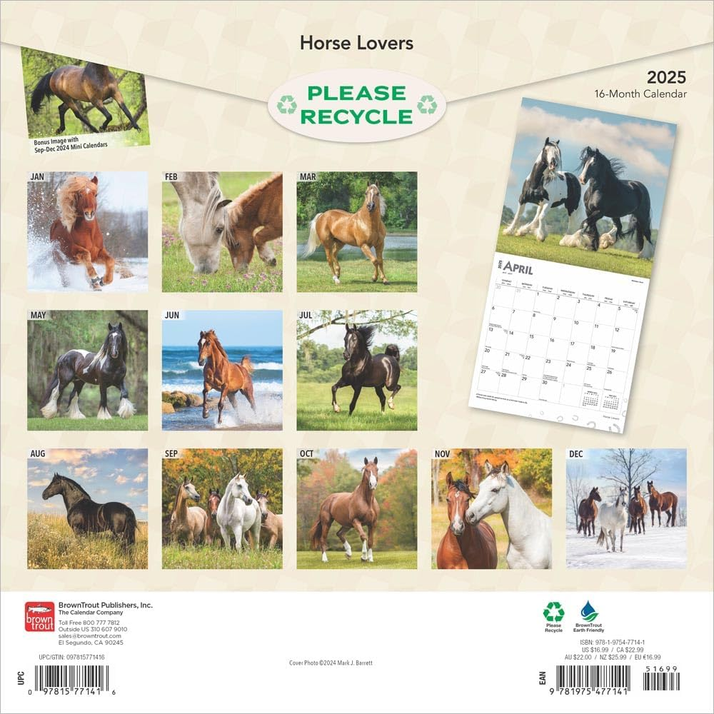 Horse Lovers | 2025 12 X 24 Inch Monthly Square Wall Calendar | Plastic-Free | Browntrout | Animals Equestrian image number 3