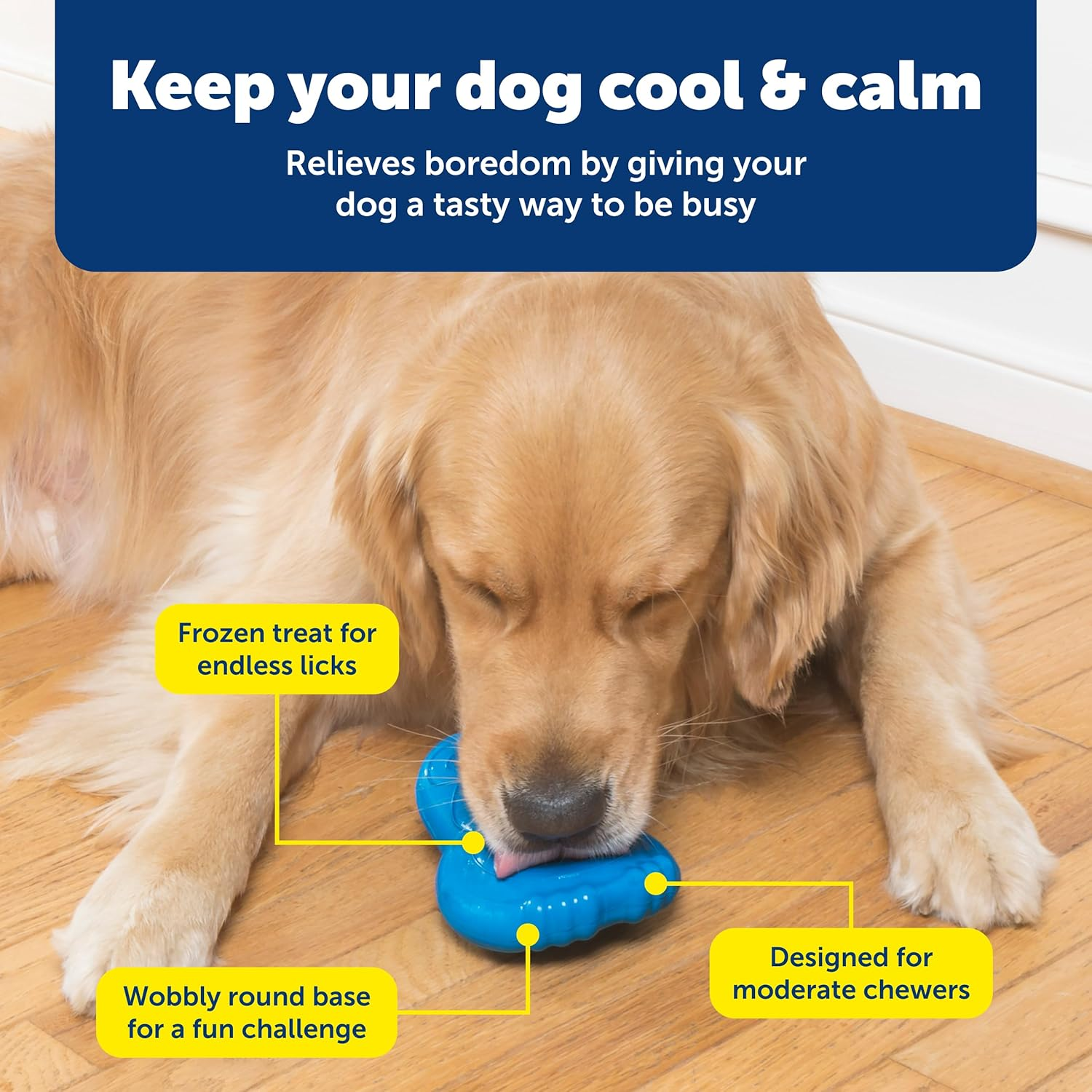 Petsafe Bb-Penguin-Ml Chilly Penguin Treat Holding Dog Toy, Medium/Large, for Large Breeds