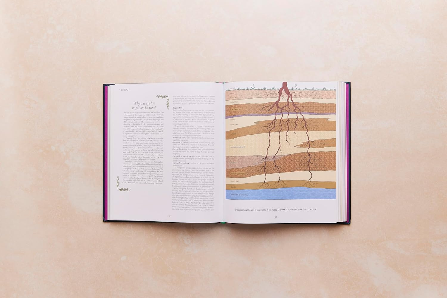 One Thousand Vines: a New Way to Understand Wine image number 2