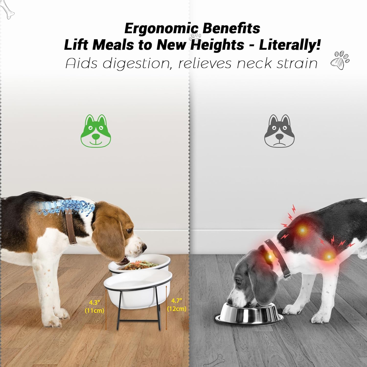 Raised Ceramic Dog Bowl with Metal Stand - Double Bowls for Food and Water - Feeding Bowl for Cats and Small to Medium Dogs - White image number 4