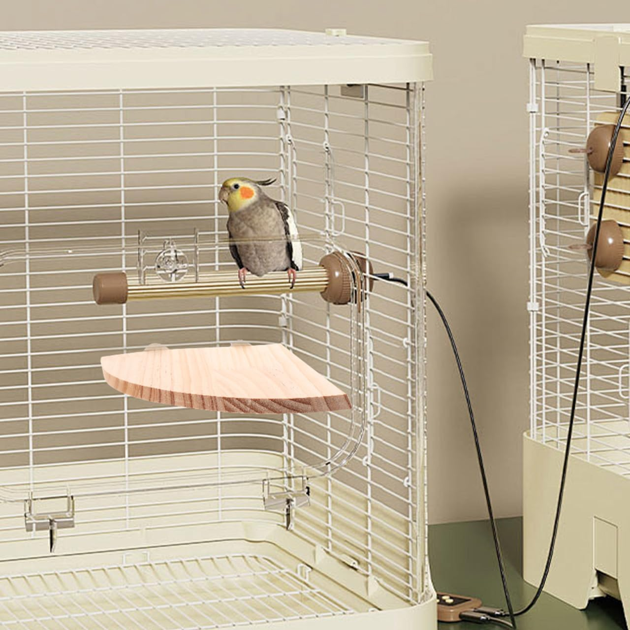 Didiseaon Bird Perch Platform for Parrots Fan Shape Corner Shelf Durable Chew Resistant Stand for Budgies Cockatiels Conures Macaws African Greys Easy Installation