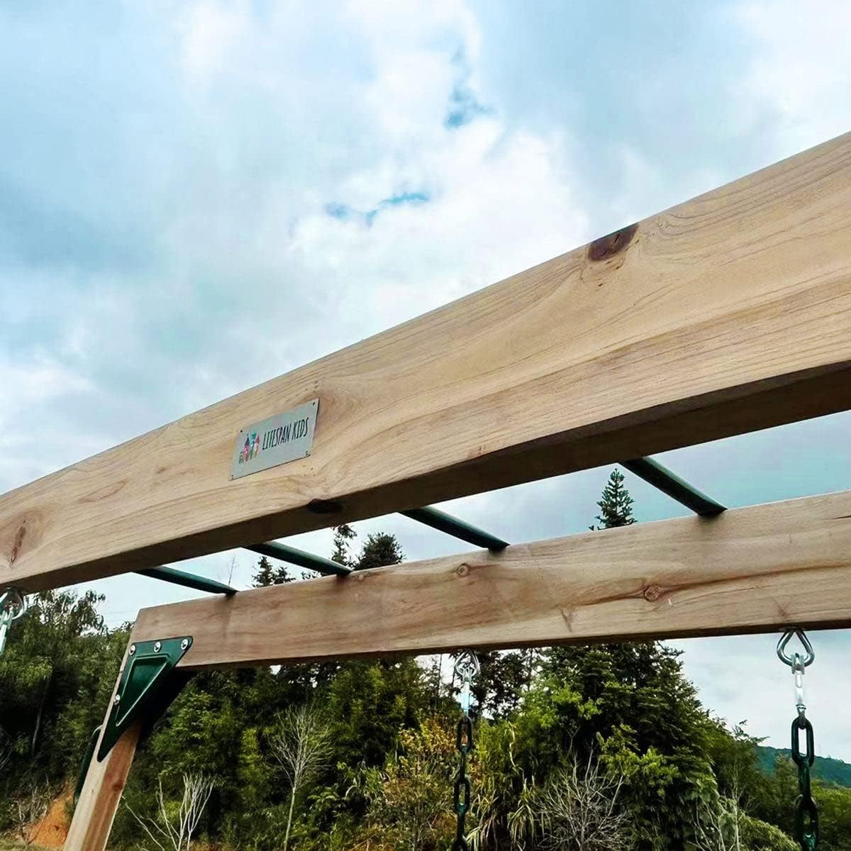 Lifespan Kids Daintree 2-In-1 Monkey Bars & Swing Set image number 6