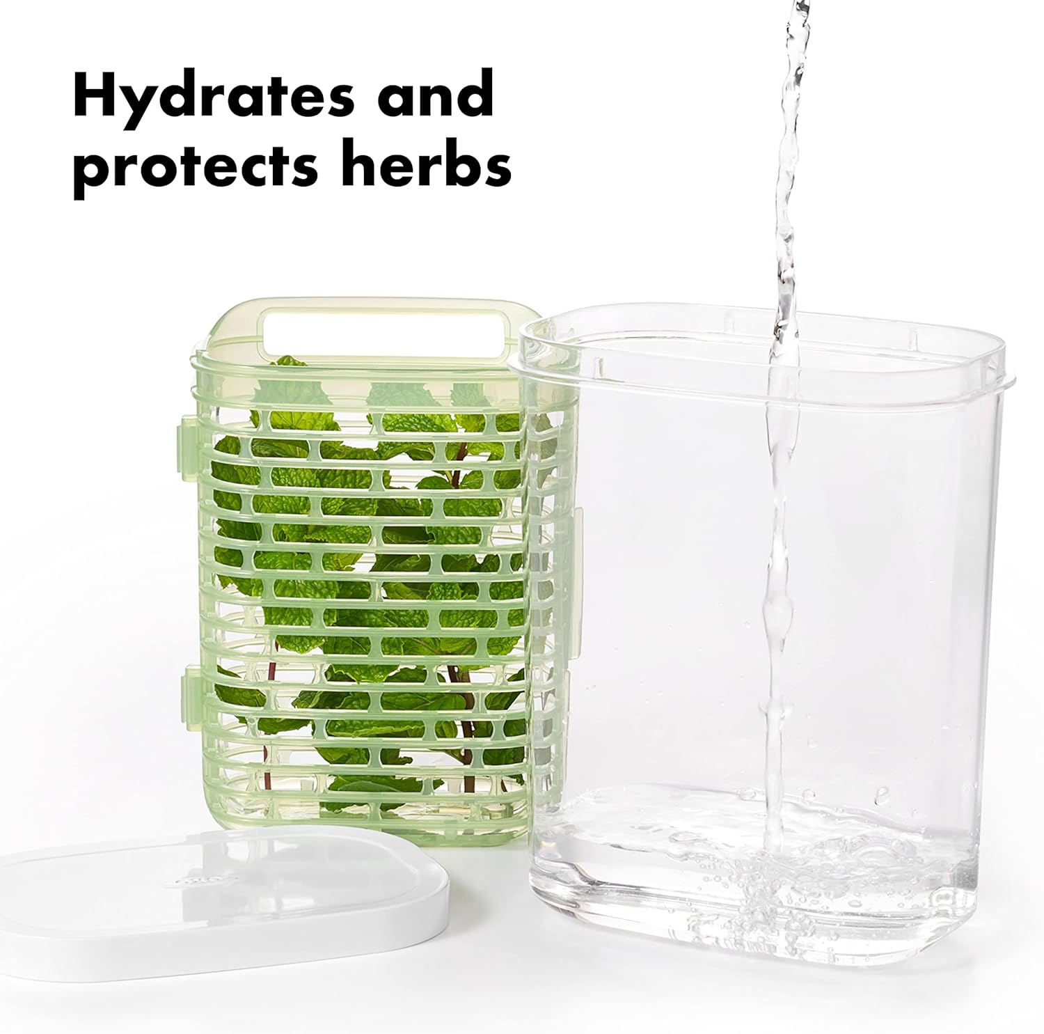 OXO Good Grips Greensaver Herb Keeper, Small