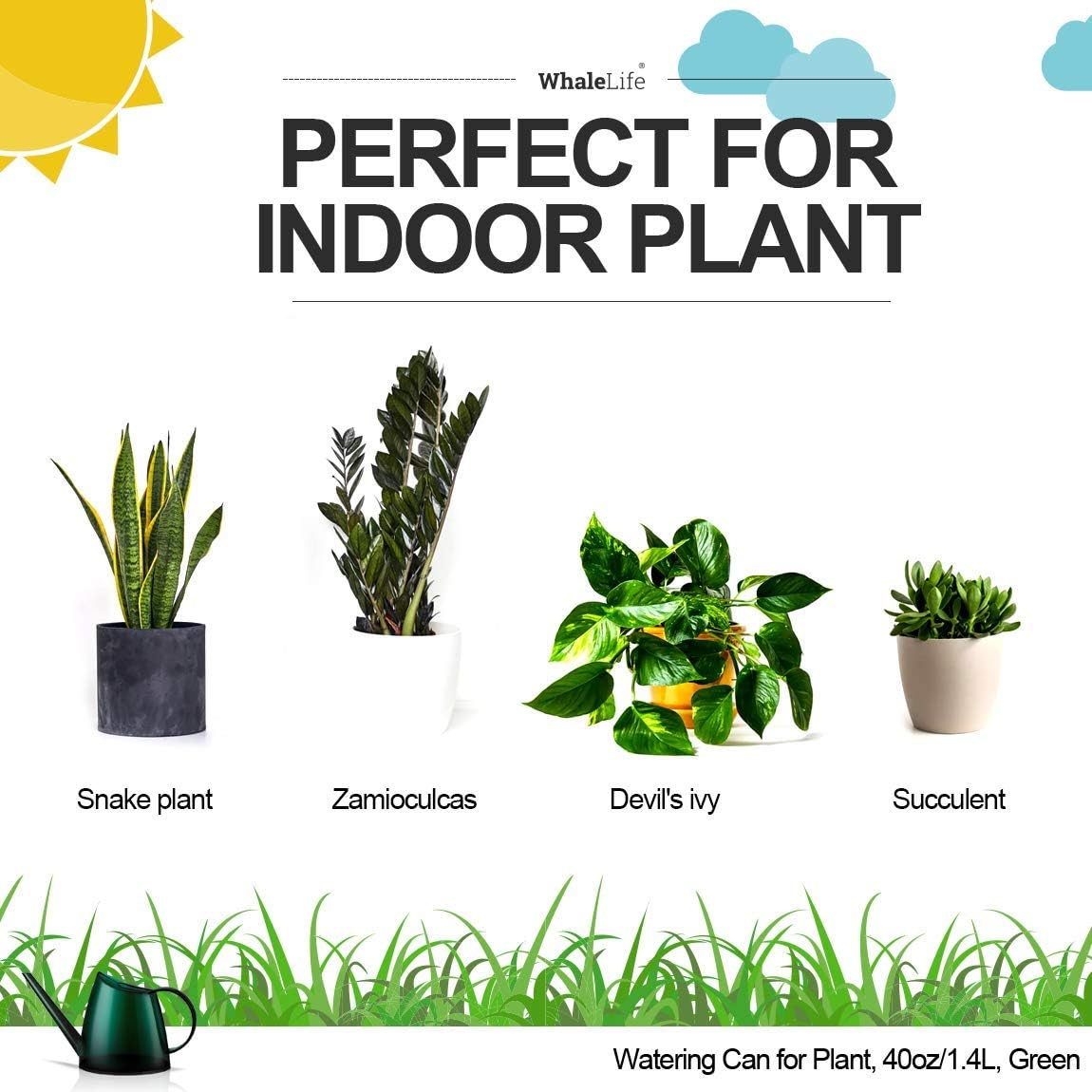 Whale Life Watering Can for Plant, 40Oz/1.2L, Green image number 5