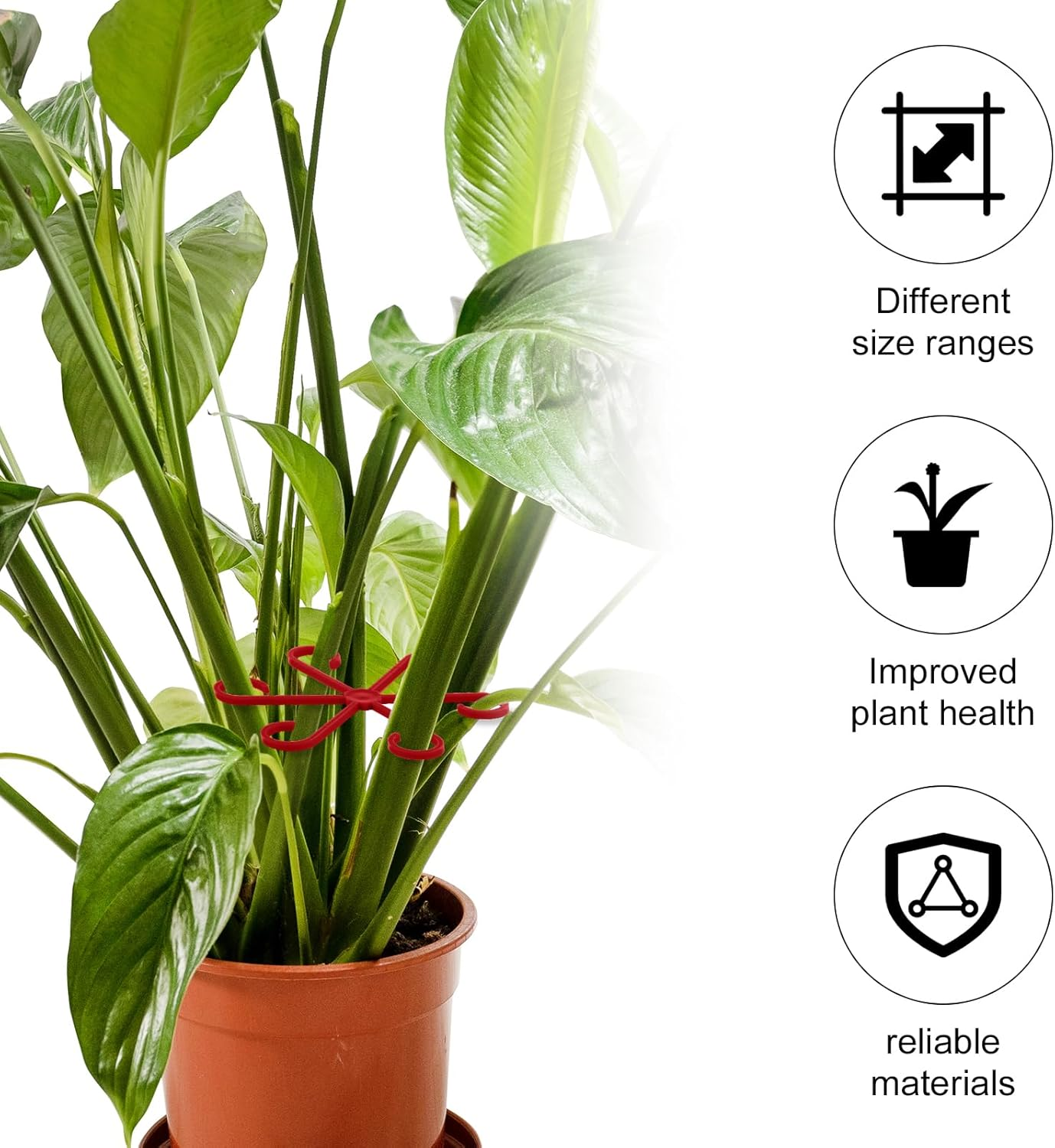 4Pcs Climbing Houseplant Stem Supports, Plastic Plant Climbers Stem Holders Reusable Flower Plant Stakes Trellis Stem Hook Growth Accessories for Plant (Red)