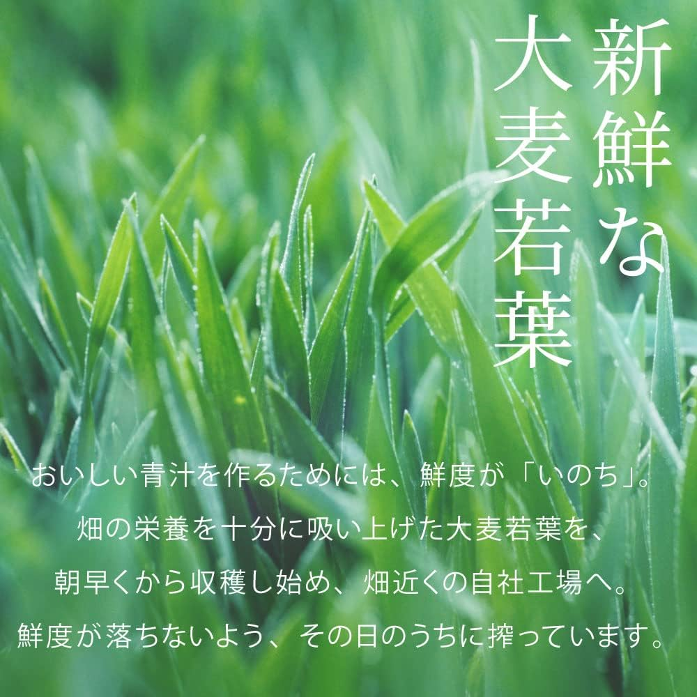 Yakult Watashi No AOJIRU (Ooita Young Barley Grass) | Powder Stick | 4G X 60 [Japanese Import] image number 1