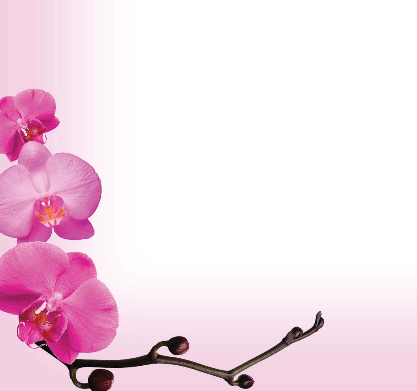 Great Papers! Pink Orchids Letterhead, 8.5 X 11 Inches, 80 Count (2013191) image number 2