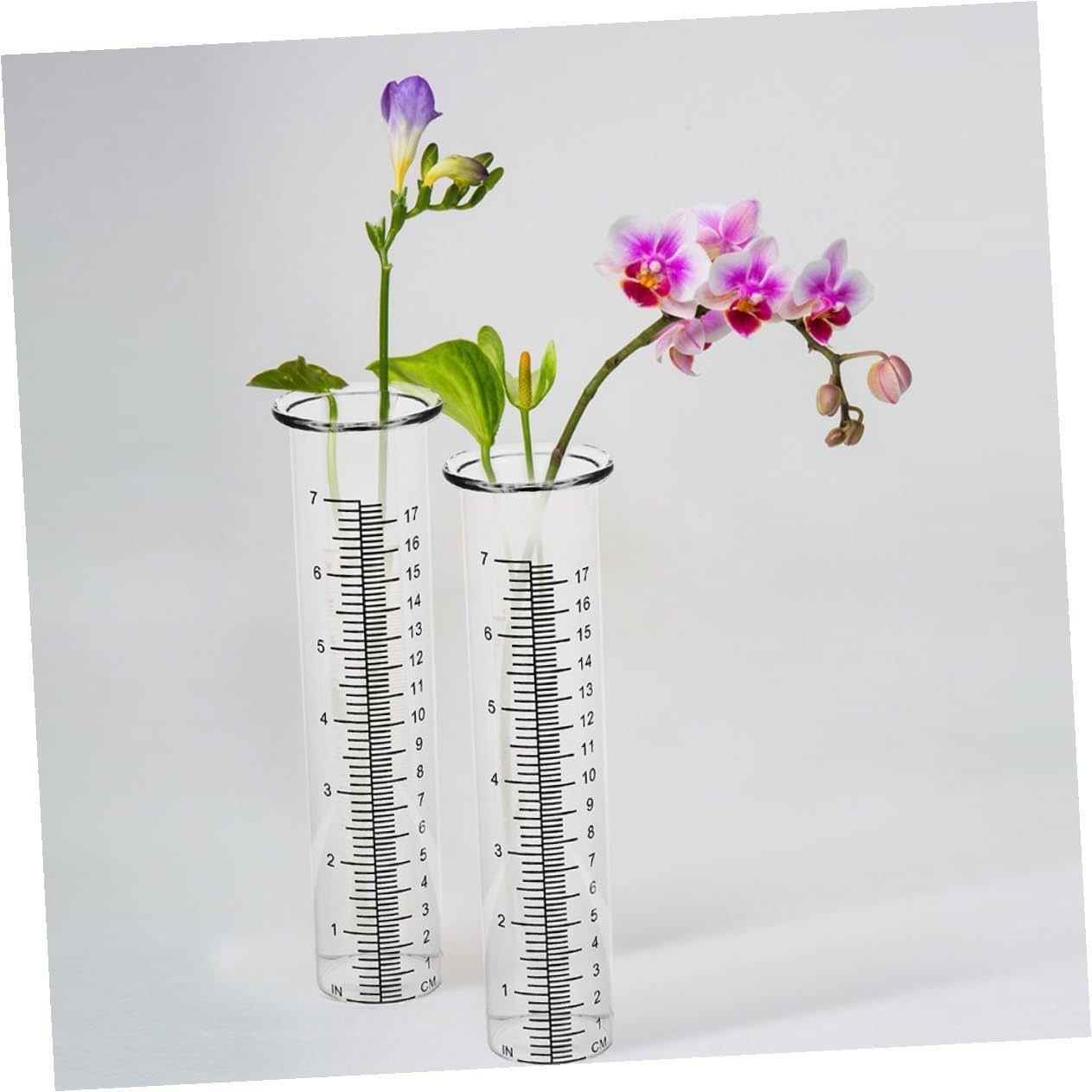 GALPADA 4Pcs Glass Rain Gauge Tubes Transparent Rain Tools with Clear Scale for Accurate Outdoor Rainfall Measurement in Garden Lawn and Plant Moisture Monitoring image number 5