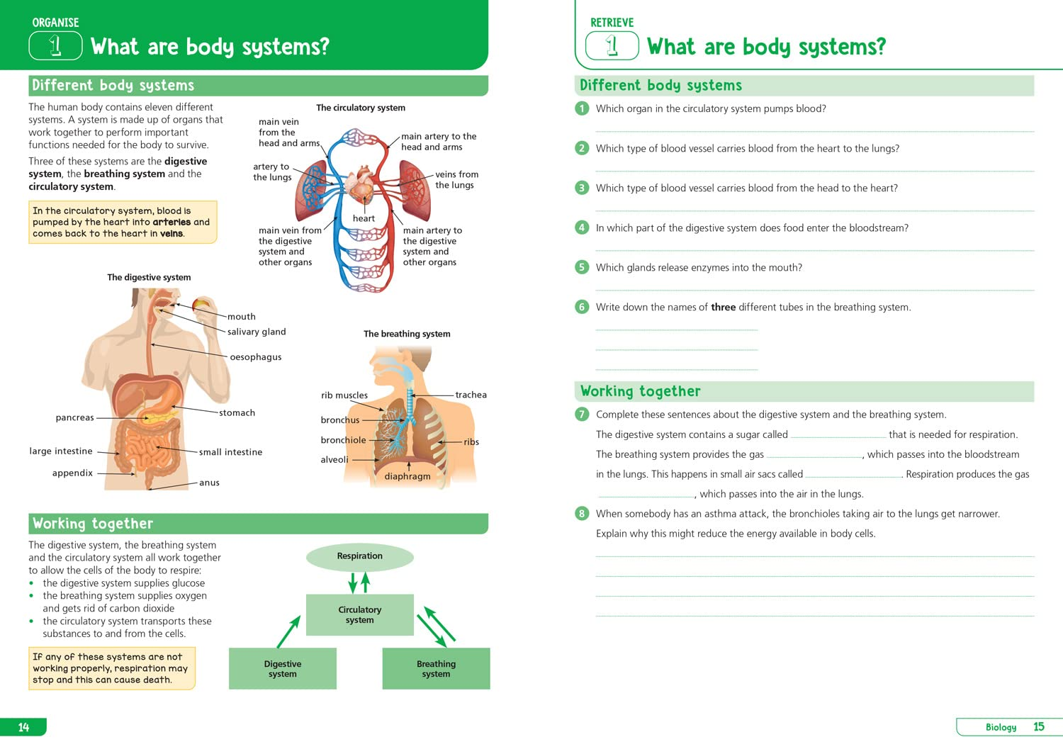 Ks3 Science Year 8: Organise and Retrieve Your Knowledge: Ideal for Year 8 image number 2