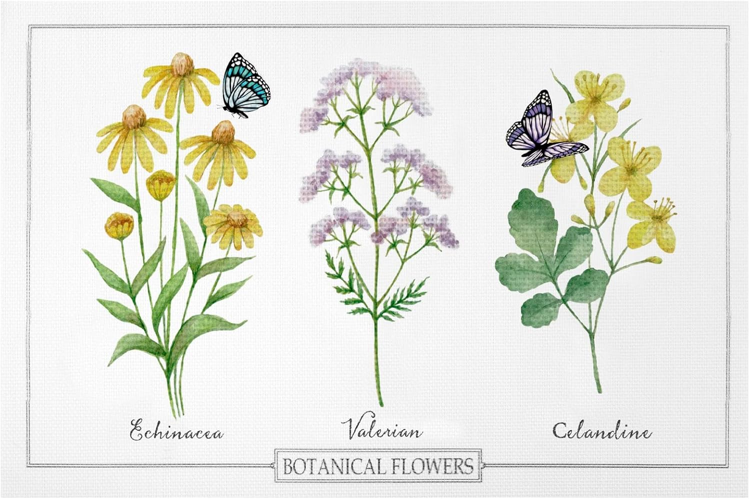 Set of 12 Tovagliette Botanic in PVC Assortite Cm 45 X 30 Cm