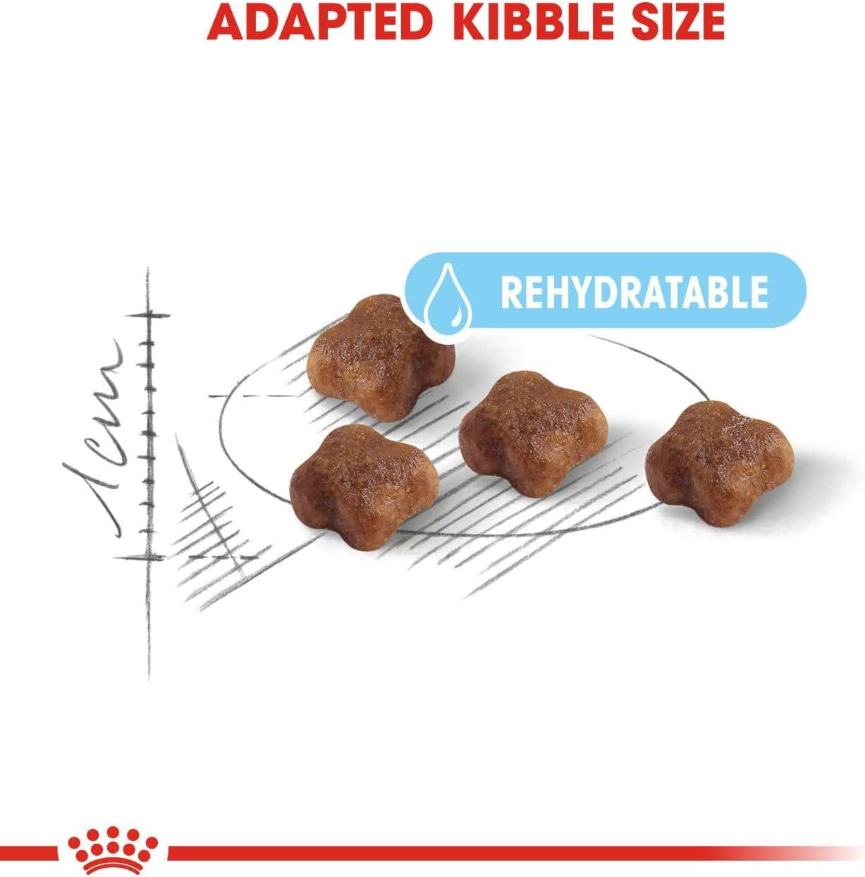 Royal Canin First Age Mother and Babycat Dry Food 2 Kg image number 5