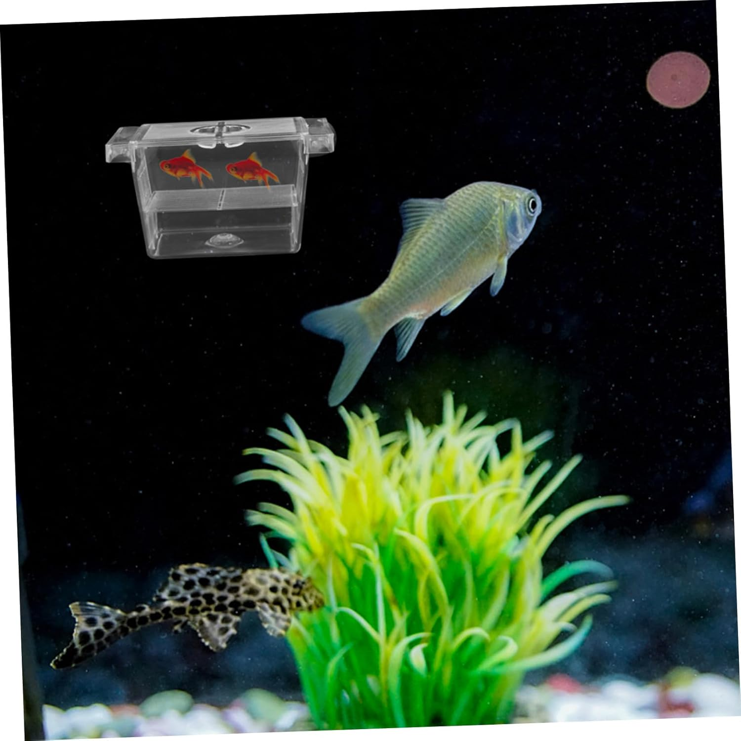 ANDRESLAD Aquarium Fish Breeding Box Separator Dual-Layer Self-Floating Fish Fry Incubator Plastic Nursery Container