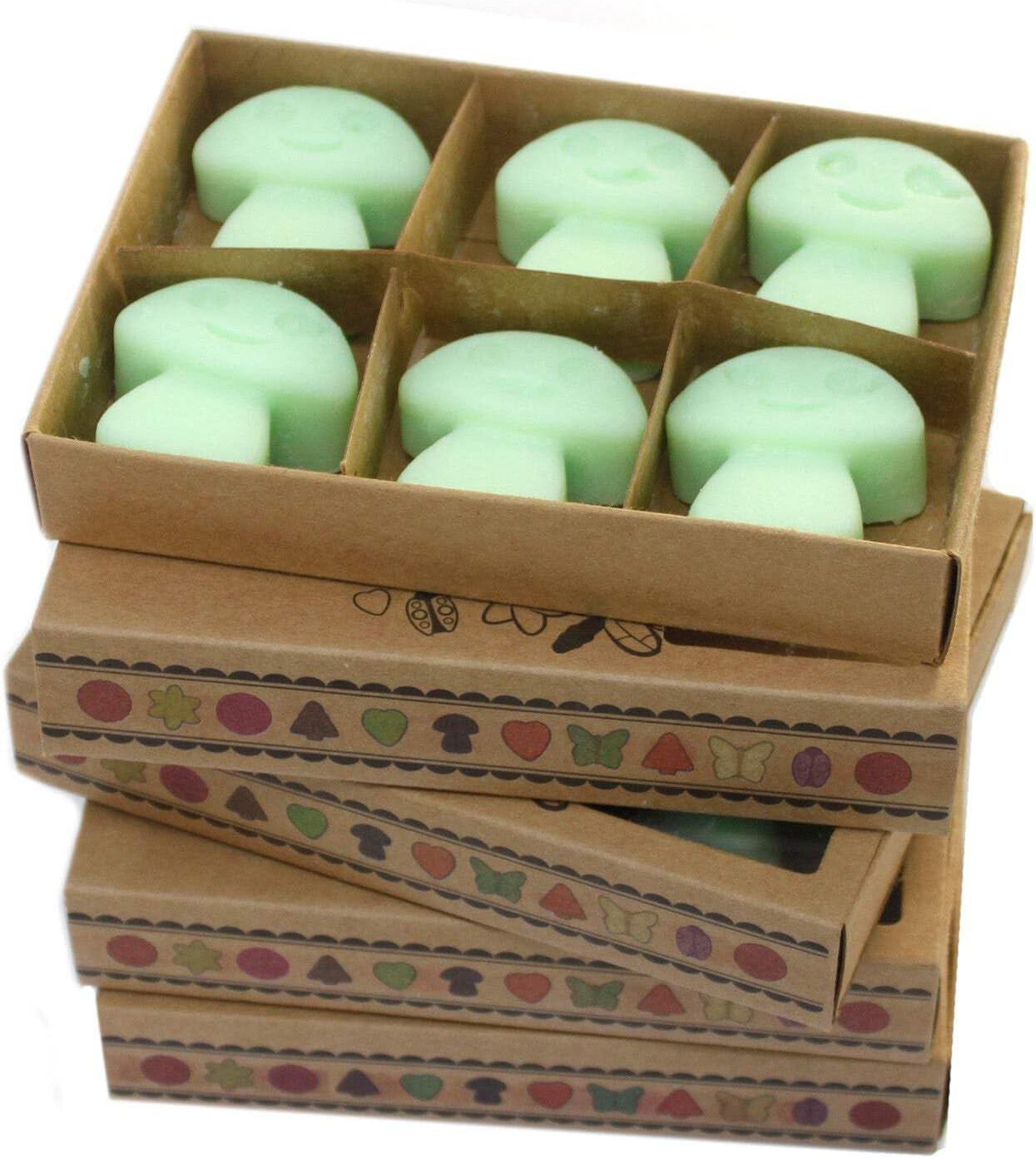 Ancient Wisdom Box of 6 Wax Melts - Liquorice image number 1
