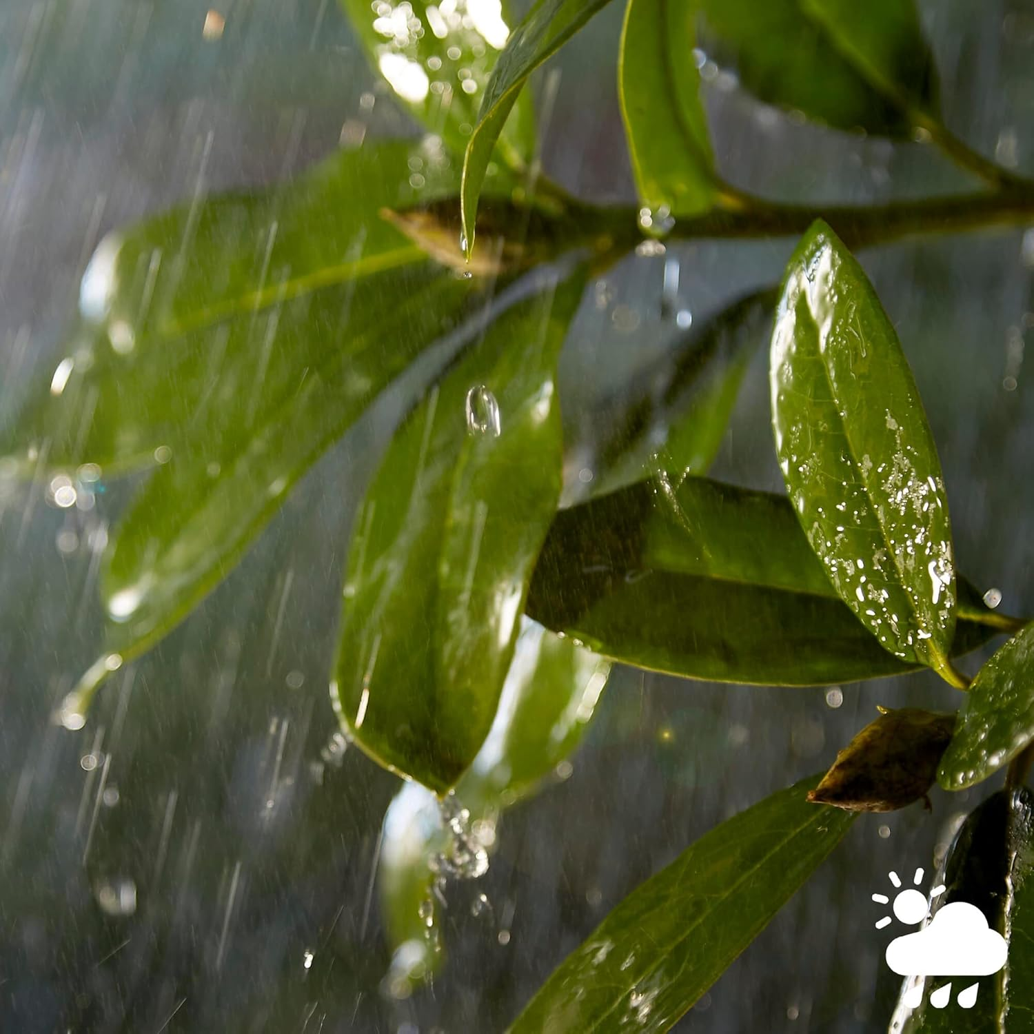 Philips Hue Inara White Smart Light Wall Lantern. (Black) for Outdoor Smart Home Lighting, Patio, Terrace and Garden image number 6