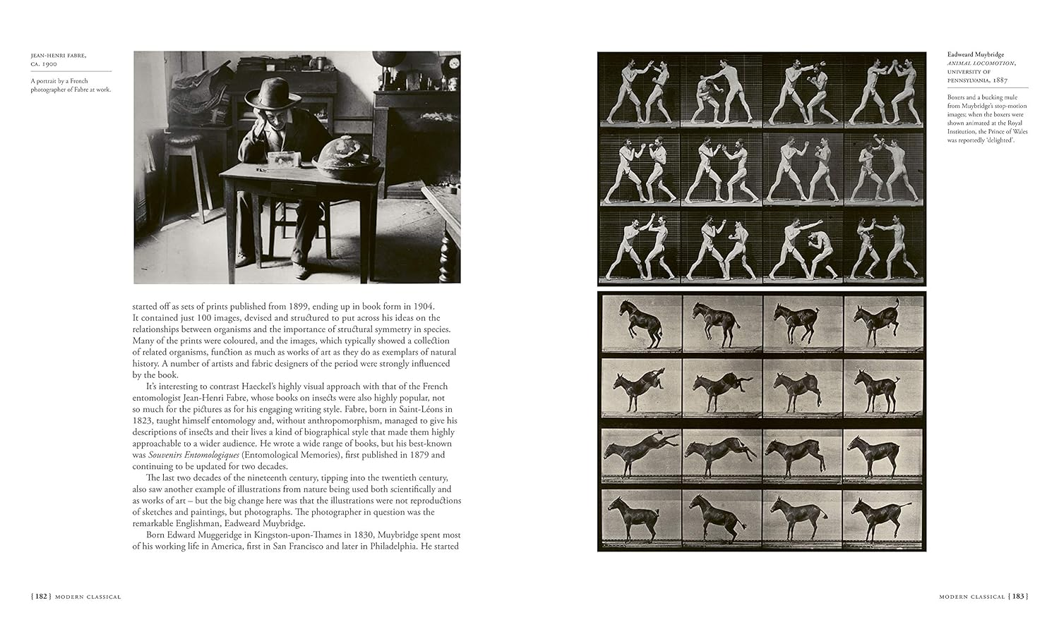 Scientifica Historia: How the World'S Great Science Books Chart the History of Knowledge image number 4