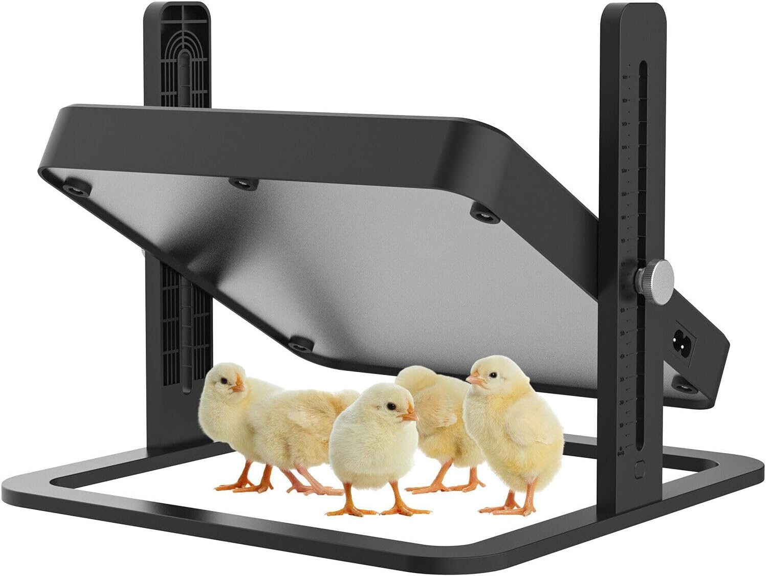 13W Chick Brooder Heating Plate Chicken Coop Heater Poultry Brooder 27Cmx27Cm Adjustable Height Angle for Hatching Chicks Ducklings Poultries Warms up to 15 Chicks image number 5