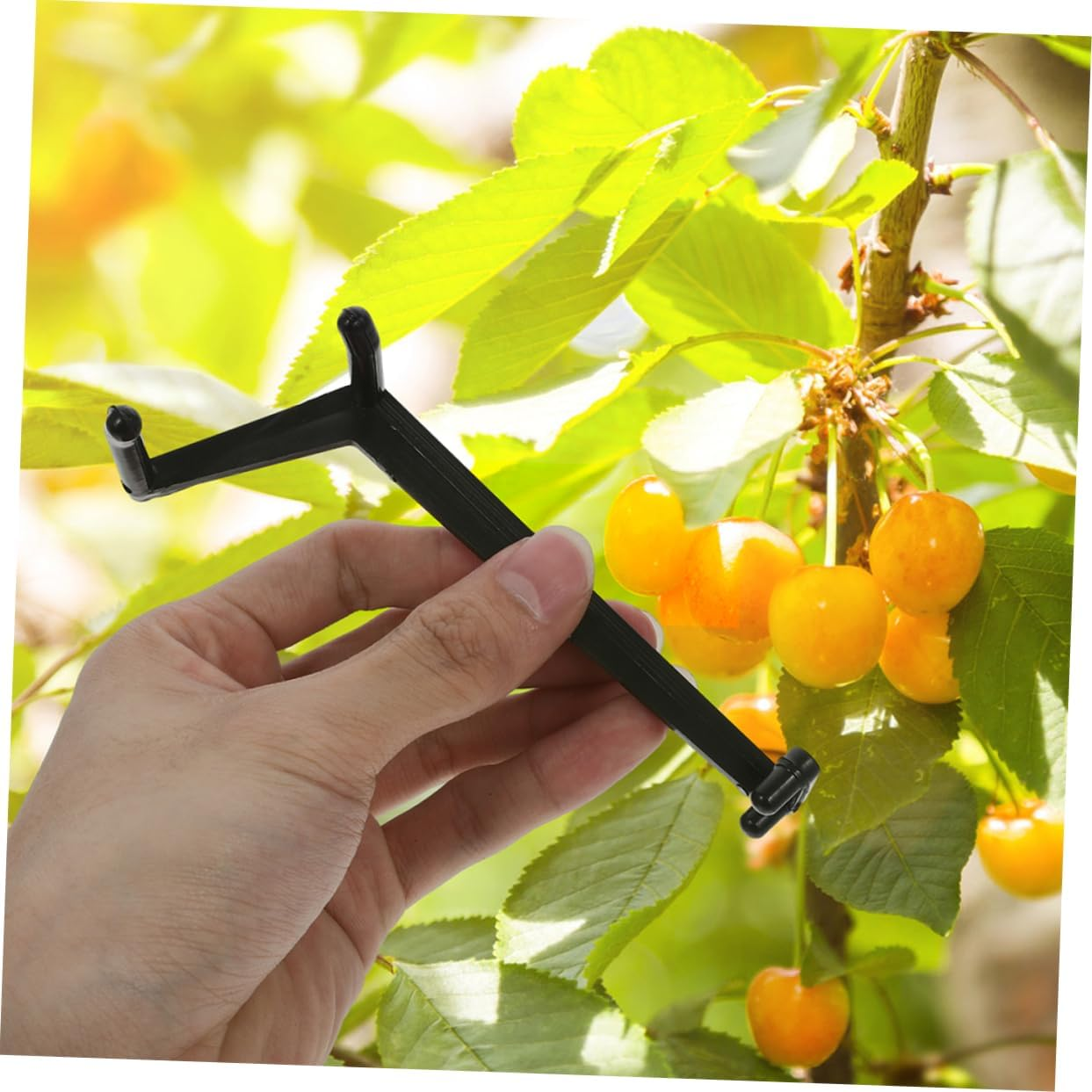 Outanaya 50Pcs Plastic Branch Spreaders for Fruit Trees Adjustable Limb Spreaders Gardening Grafting Tools Tree Branch Clips Support Bending and Shaping Limbs image number 5
