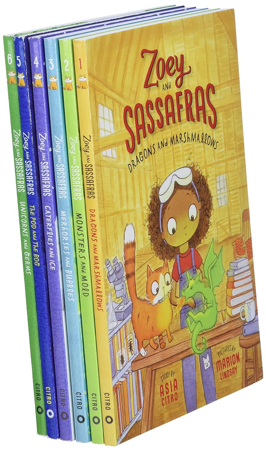 Zoey and Sassafras Books 1-6 Pack: 7 image number 3
