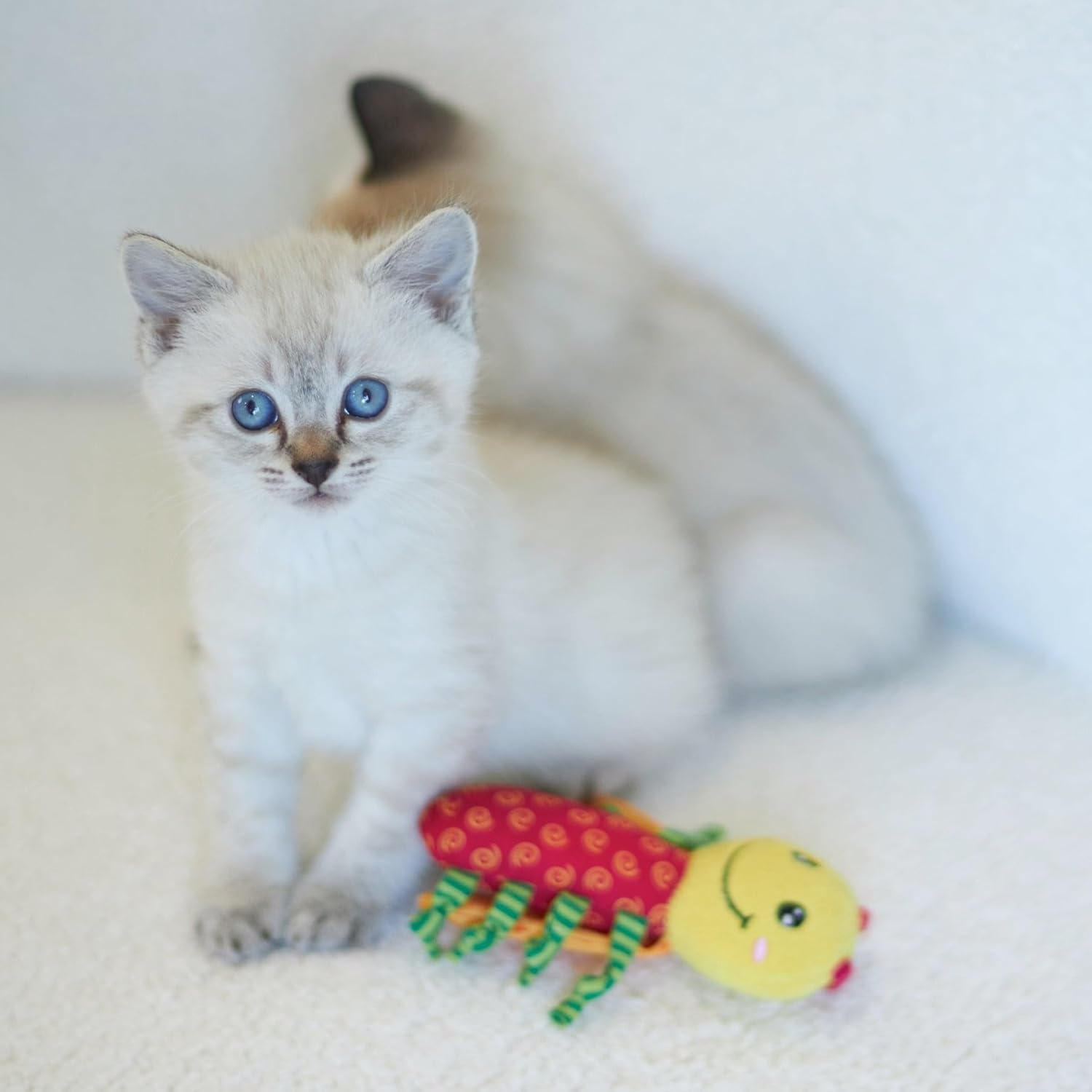 Kazoo Crinkle Ladybug Cat Toy