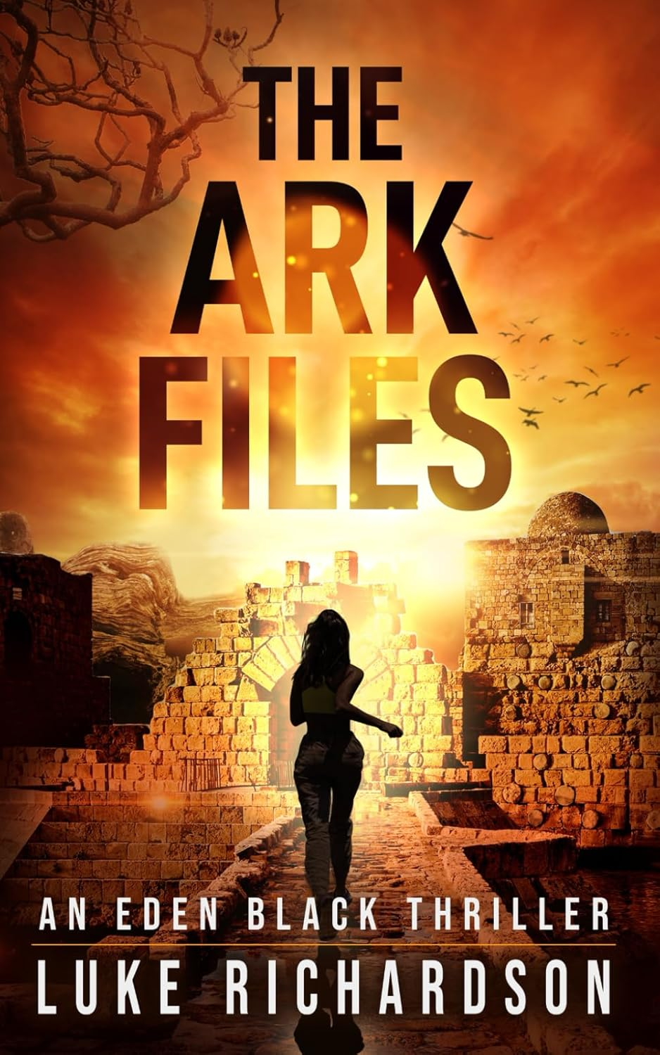 The Ark Files: a Pulse-Pounding Archaeological Thriller: 1