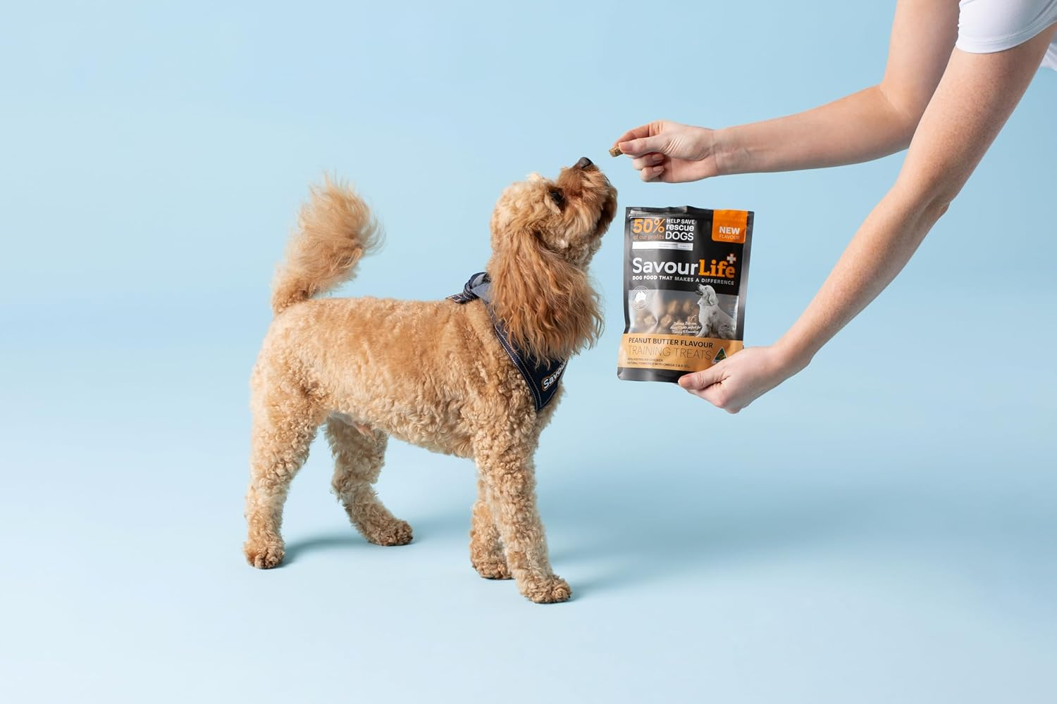 Australian Peanut Butter Flavour Training Treats 165G